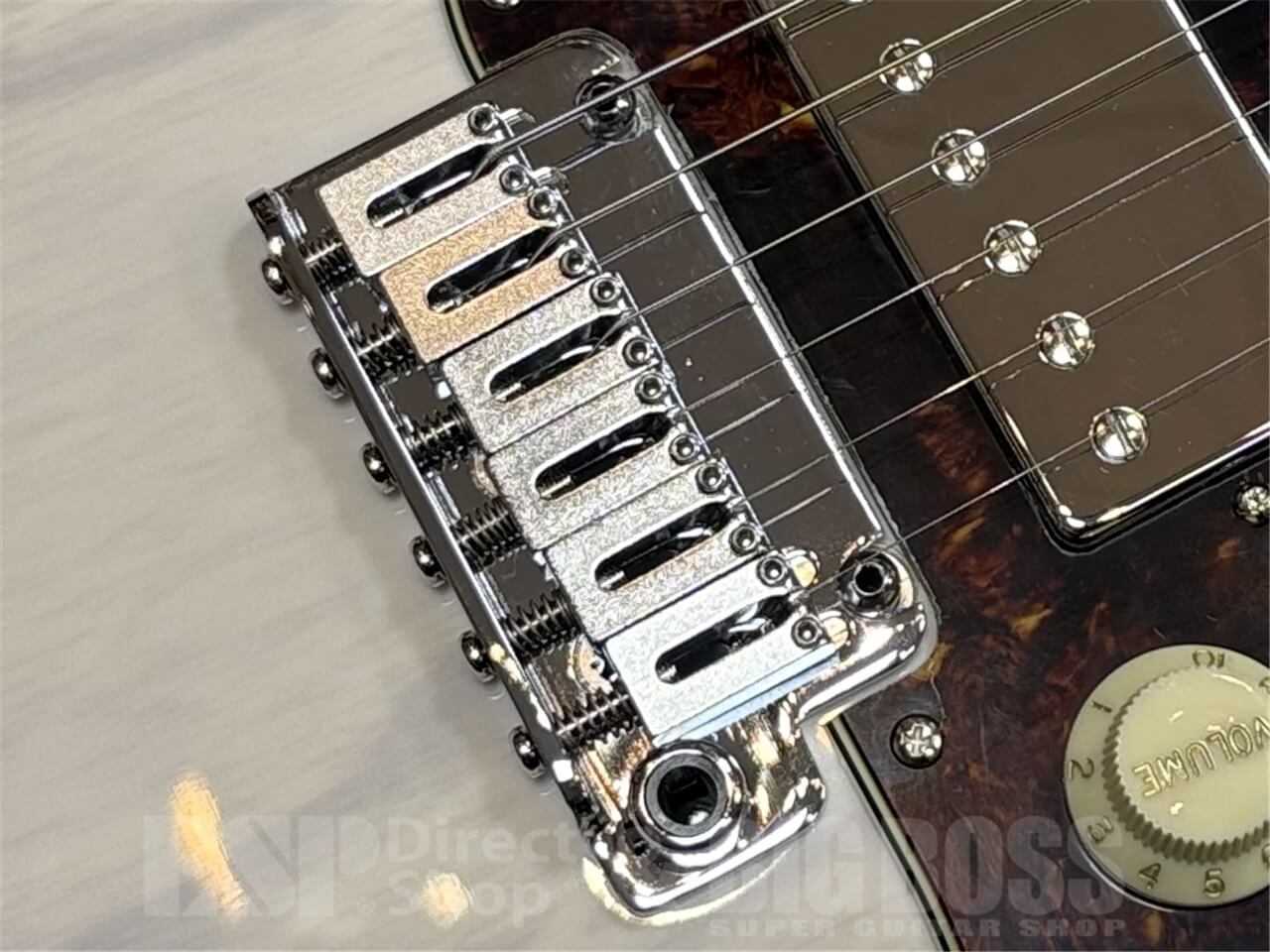 【即納可能】EDWARDS E-SNAPPER-AS/M /Blond GWS - 3