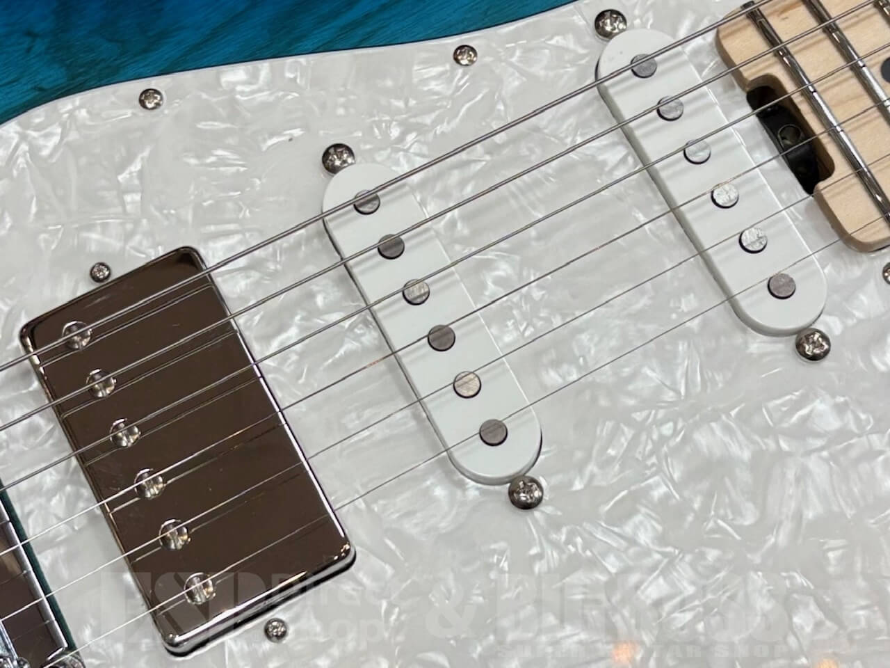 【即納可能】EDWARDS E-SNAPPER-AS/M /See Thru Blue Sunburst GWS - 4