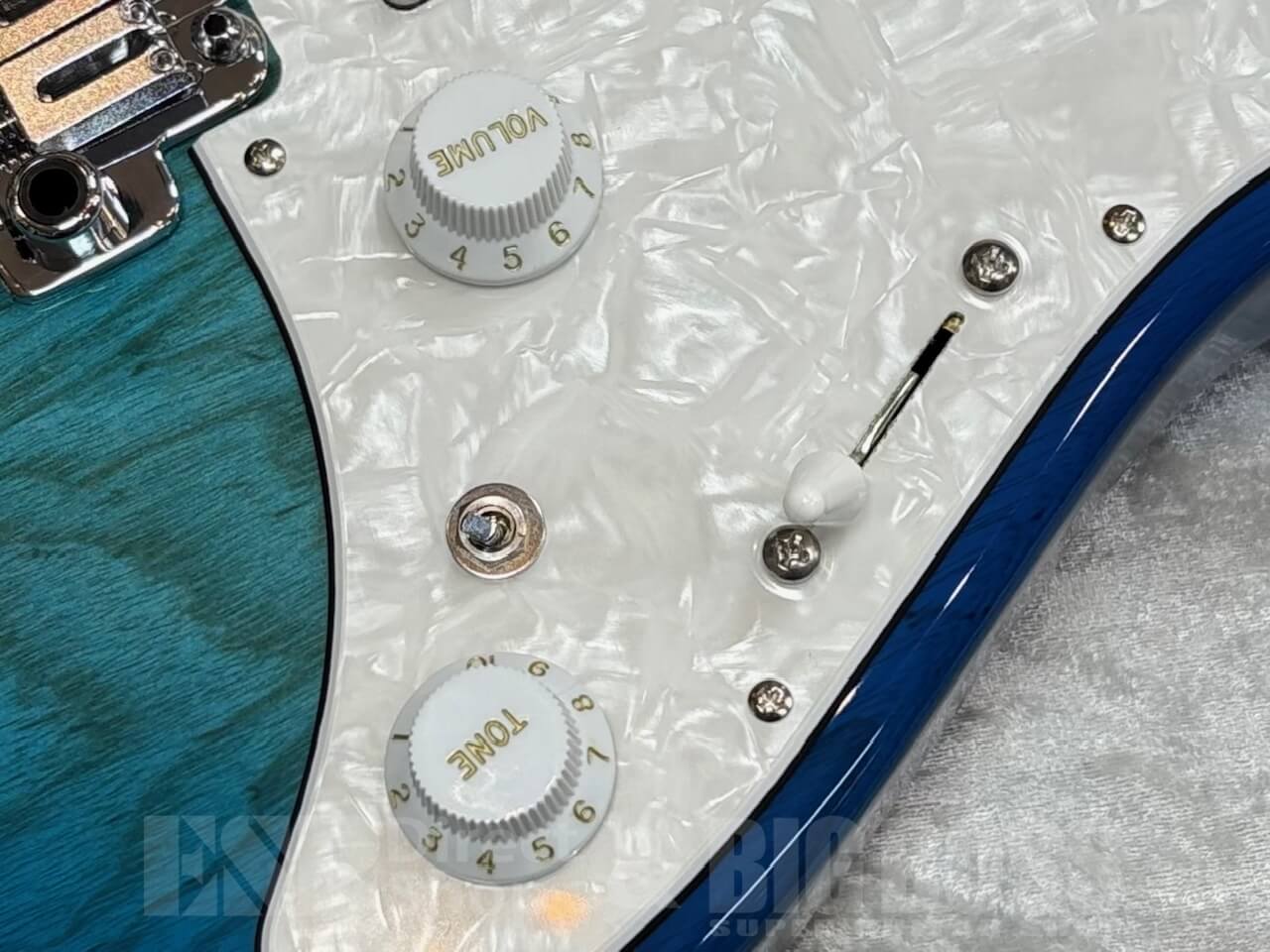 【即納可能】EDWARDS E-SNAPPER-AS/M /See Thru Blue Sunburst GWS - 5