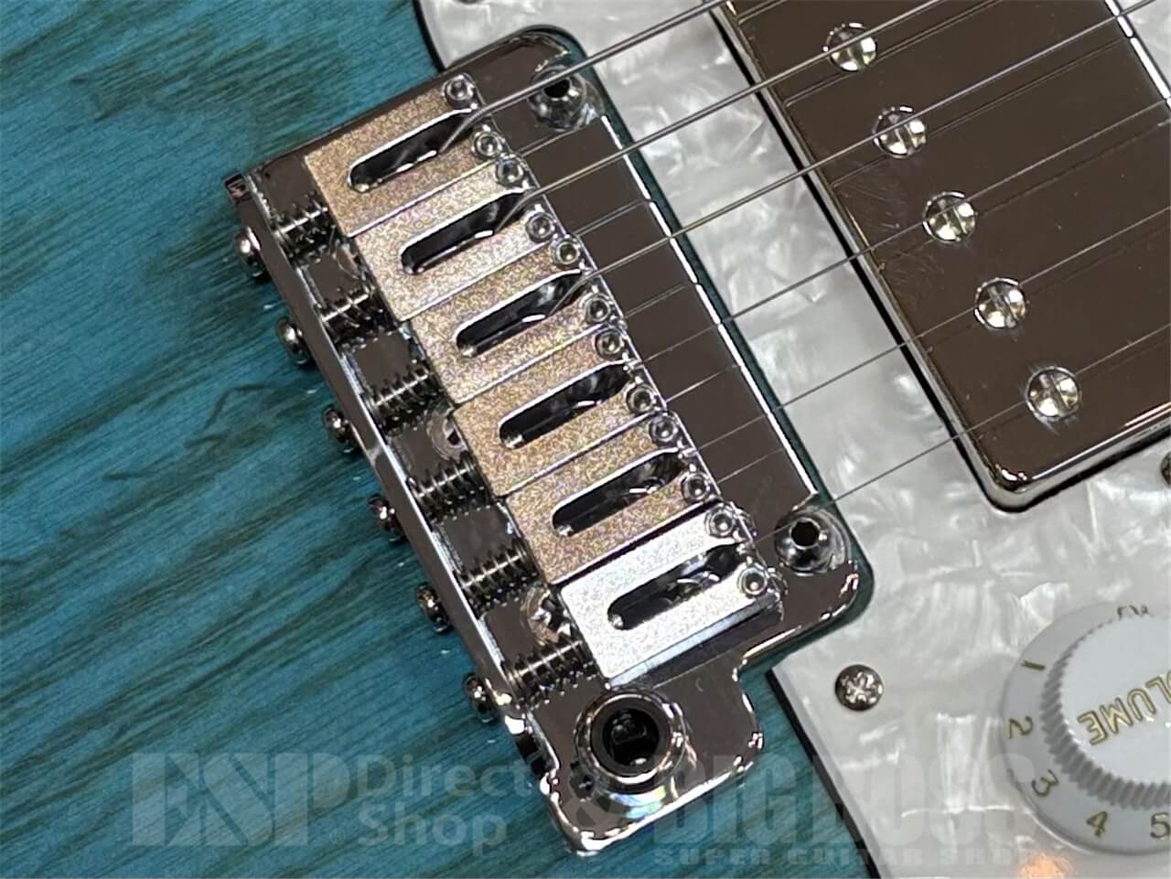 【即納可能】EDWARDS E-SNAPPER-AS/M /See Thru Blue Sunburst GWS - 3
