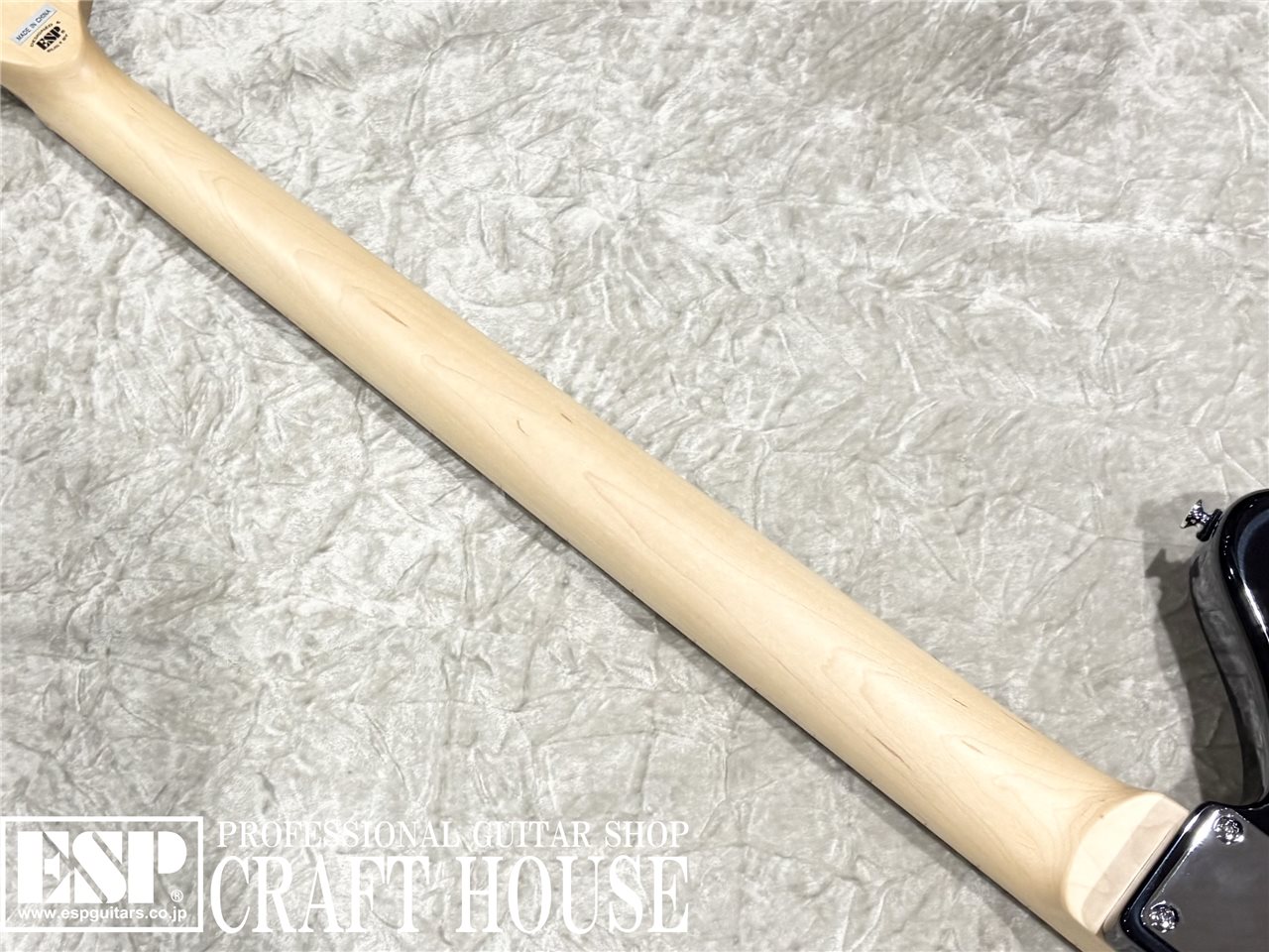 【即納可能】BanG Dream! GB Soyo / 3 Tone Sunburst 渋谷店 - 7