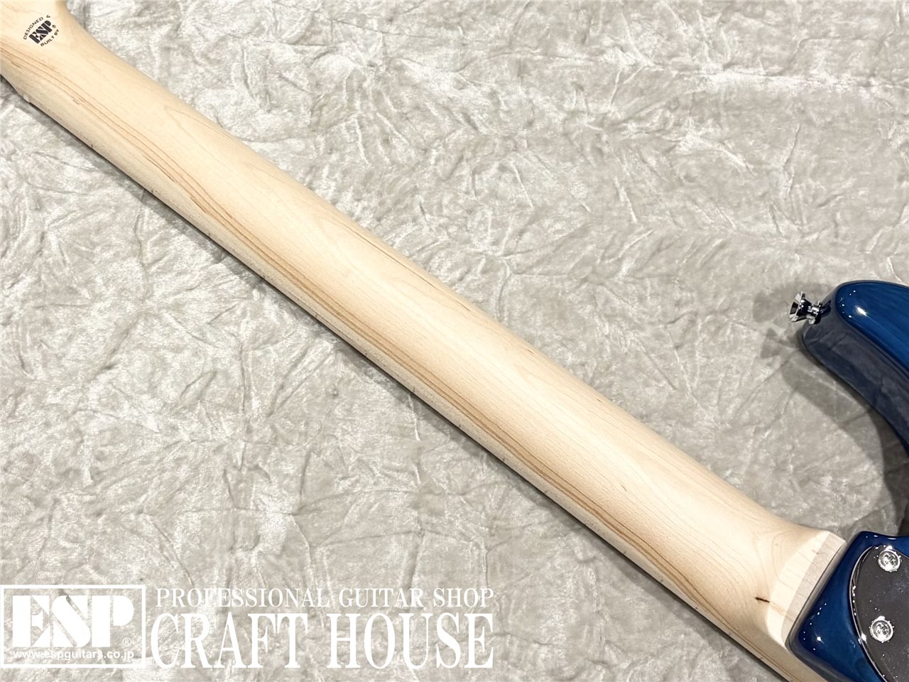 【即納可能】EDWARDS E-SNAPPER-AS/M / See Thru Blue Sunburst 渋谷店 - 7