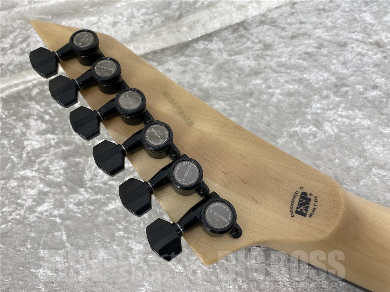 【即納可能】E-II(イーツー) M-II Neck Thru / Snow White お茶の水駅前店(東京) - 9