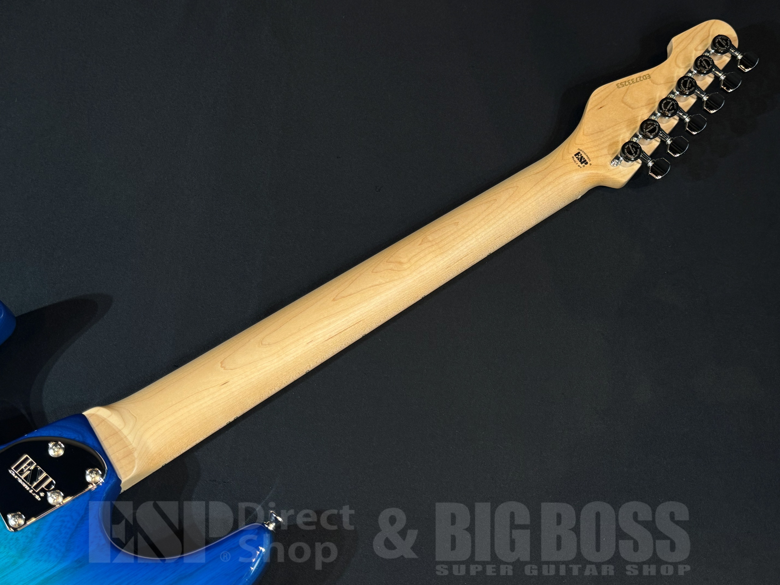 【即納可能】EDWARDS(エドワーズ) E-SNAPPER-AS/M / See Thru Blue Sunburst 大阪店 - 8
