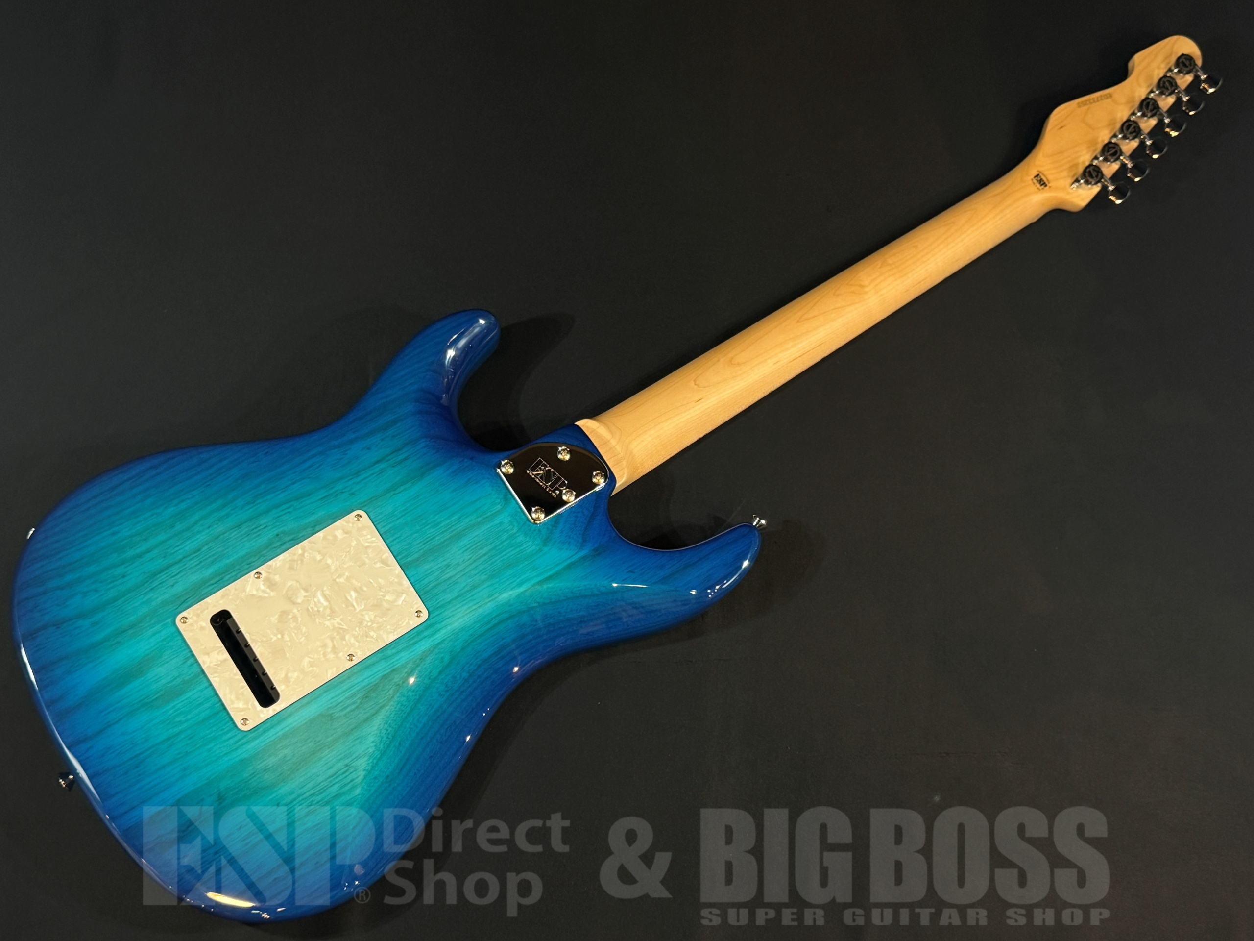 【即納可能】EDWARDS(エドワーズ) E-SNAPPER-AS/M / See Thru Blue Sunburst 大阪店 - 6