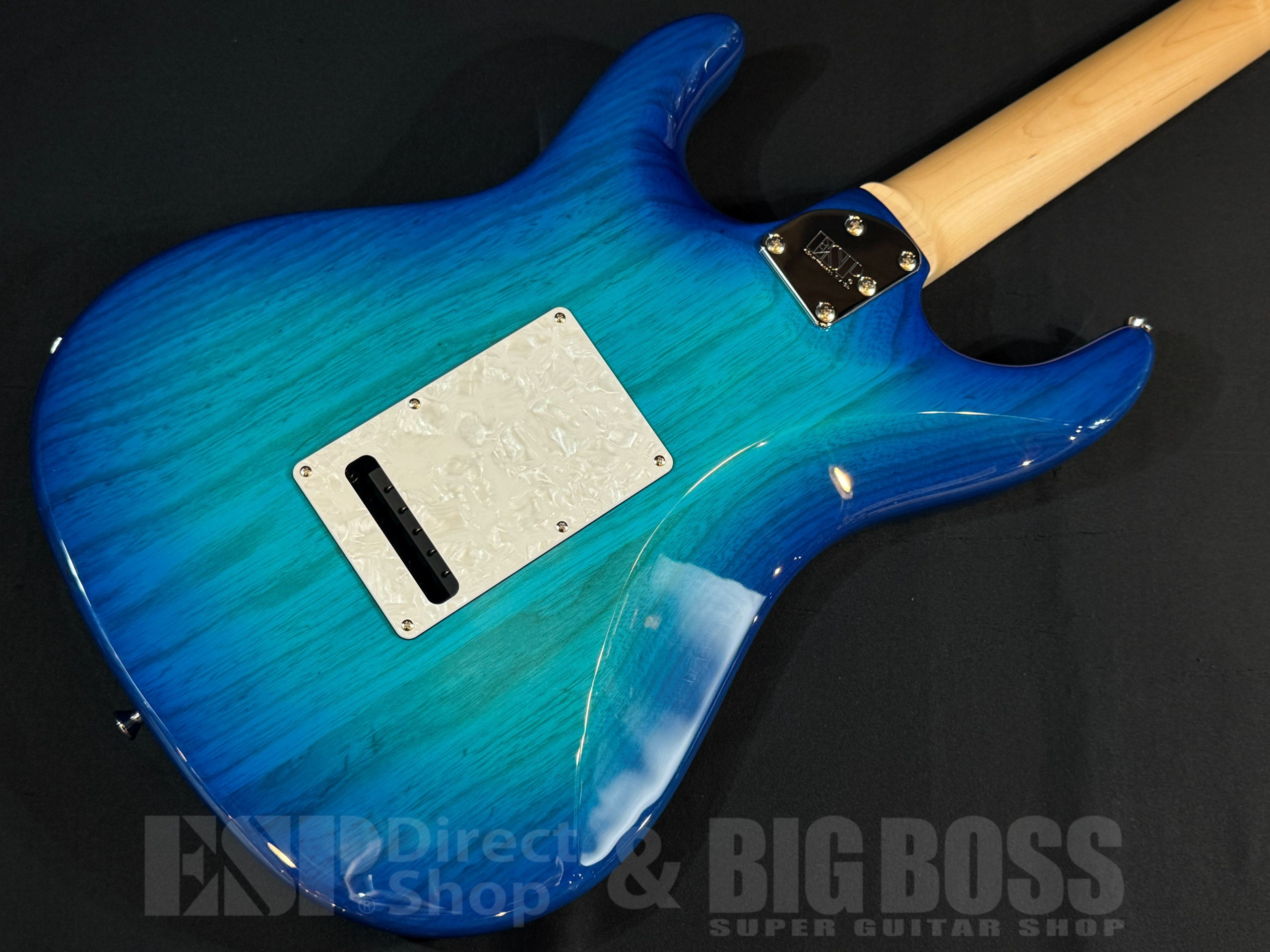 【即納可能】EDWARDS(エドワーズ) E-SNAPPER-AS/M / See Thru Blue Sunburst 大阪店 - 7