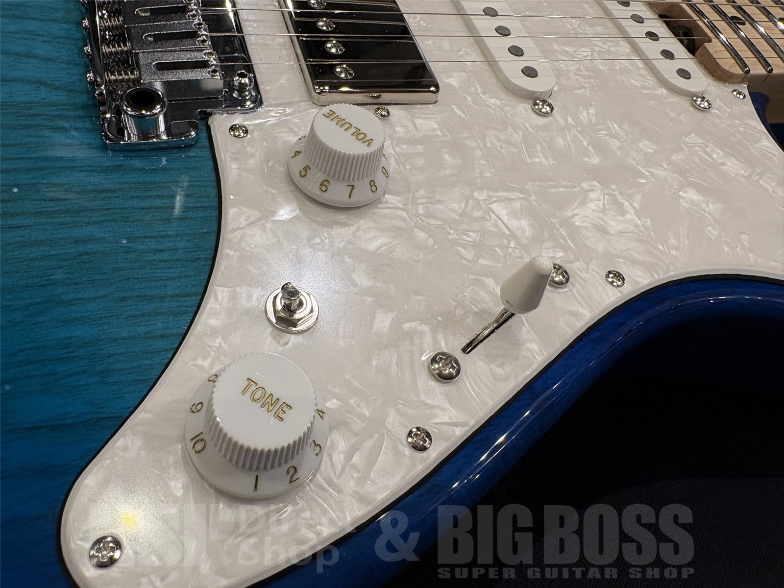 【即納可能】EDWARDS(エドワーズ) E-SNAPPER-AS/M / See Thru Blue Sunburst 京都店 - 3