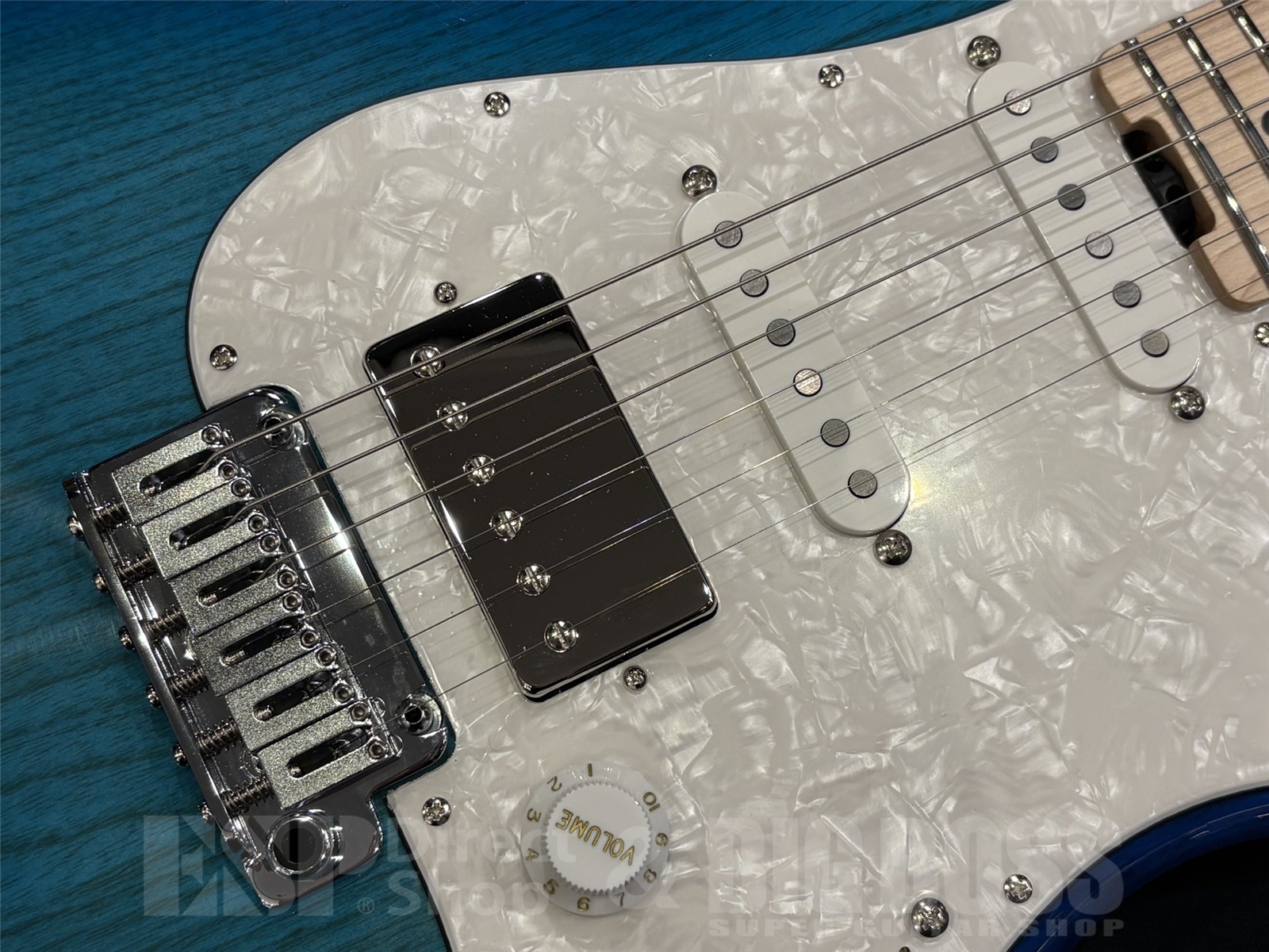 【即納可能】EDWARDS(エドワーズ) E-SNAPPER-AS/M / See Thru Blue Sunburst 京都店 - 4