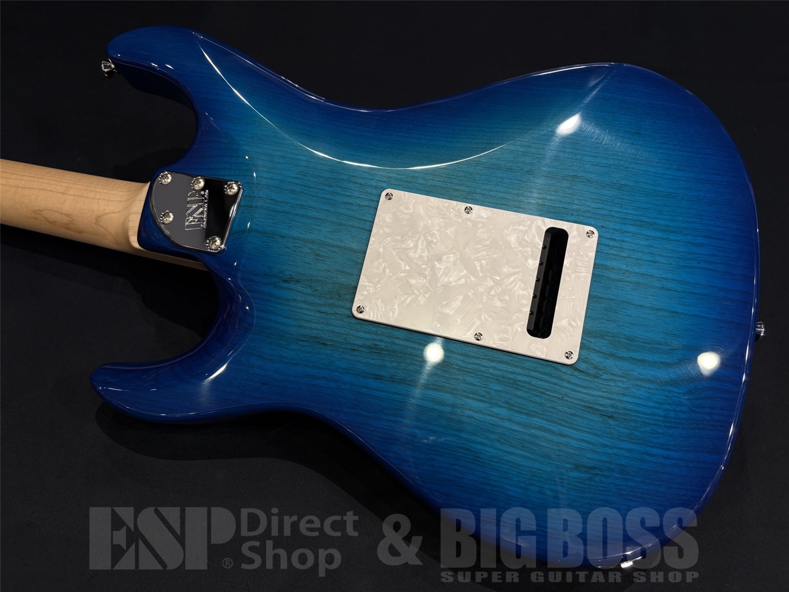 【即納可能】EDWARDS(エドワーズ) E-SNAPPER-AS/M / See Thru Blue Sunburst 京都店 - 9