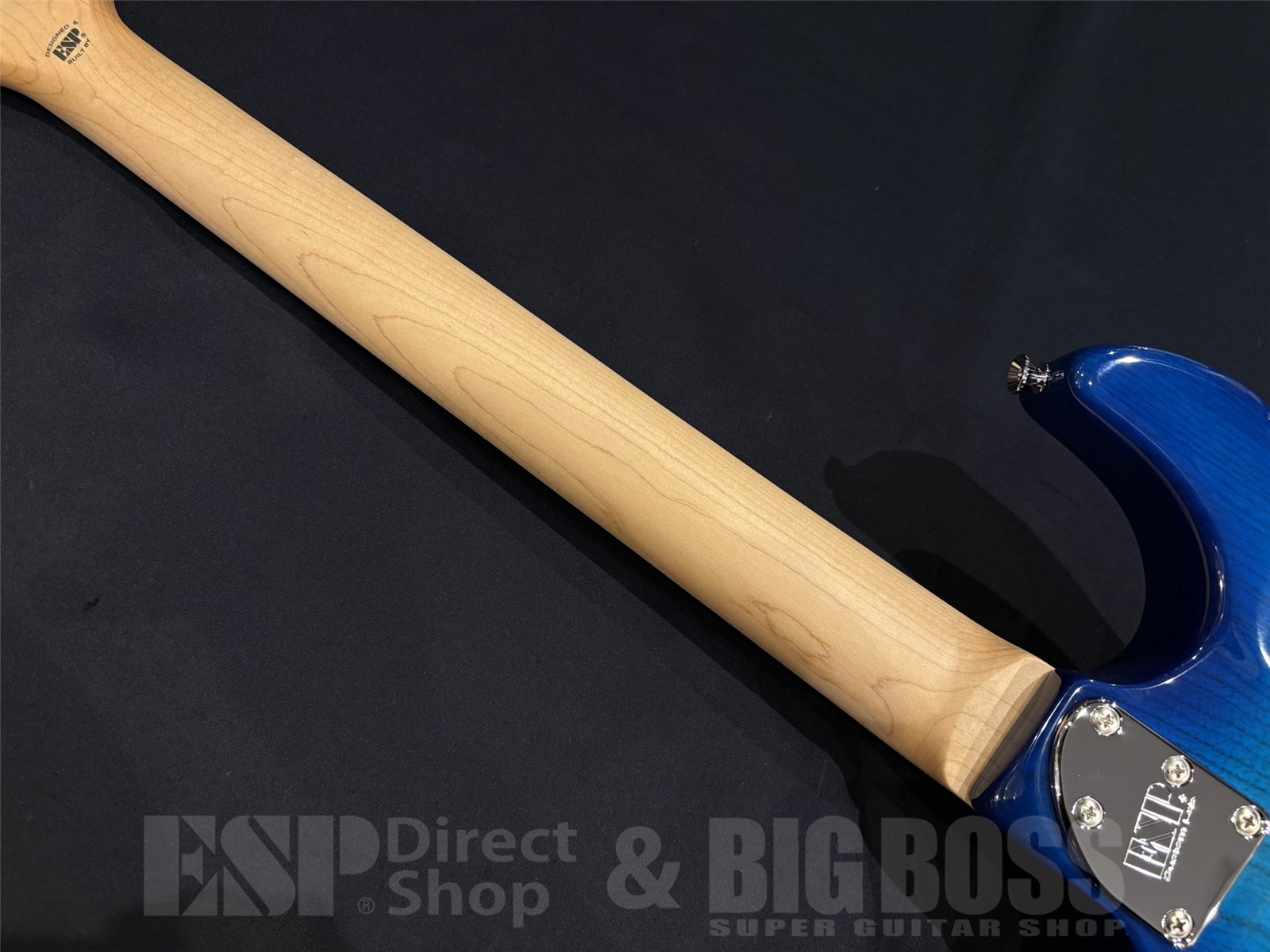 【即納可能】EDWARDS(エドワーズ) E-SNAPPER-AS/M / See Thru Blue Sunburst 京都店 - 10