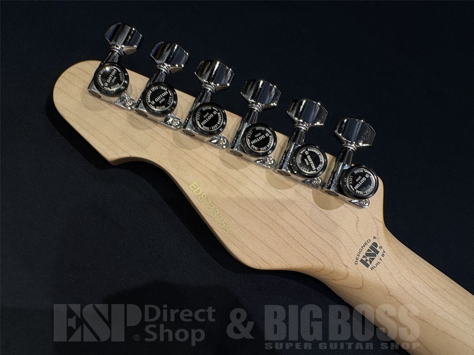 【即納可能】EDWARDS(エドワーズ) E-SNAPPER-AS/M / See Thru Blue Sunburst 京都店 - 11