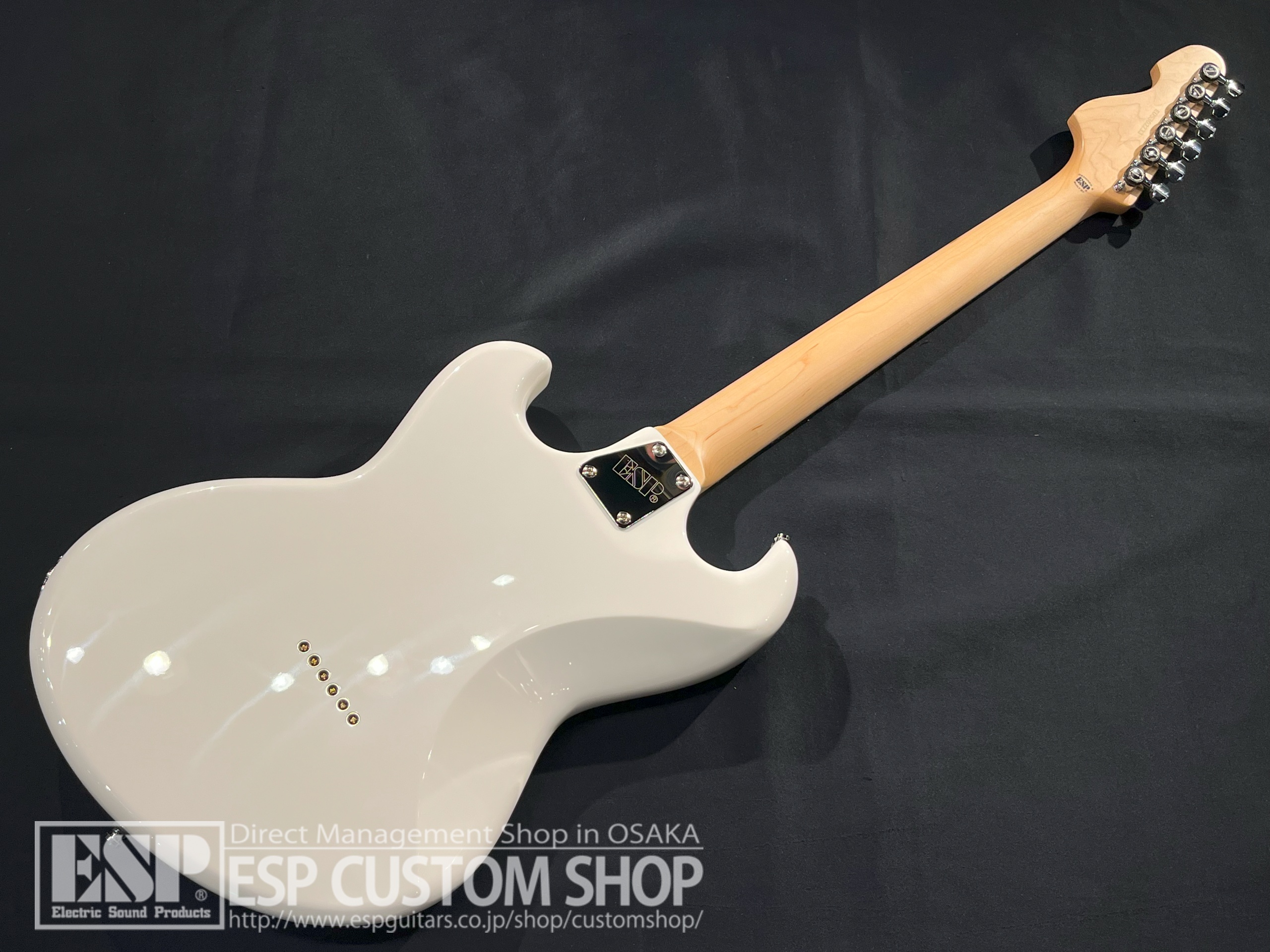 【即納可能】EDWARDS Platinum Edition ULTRATONE-SE / White 大阪店