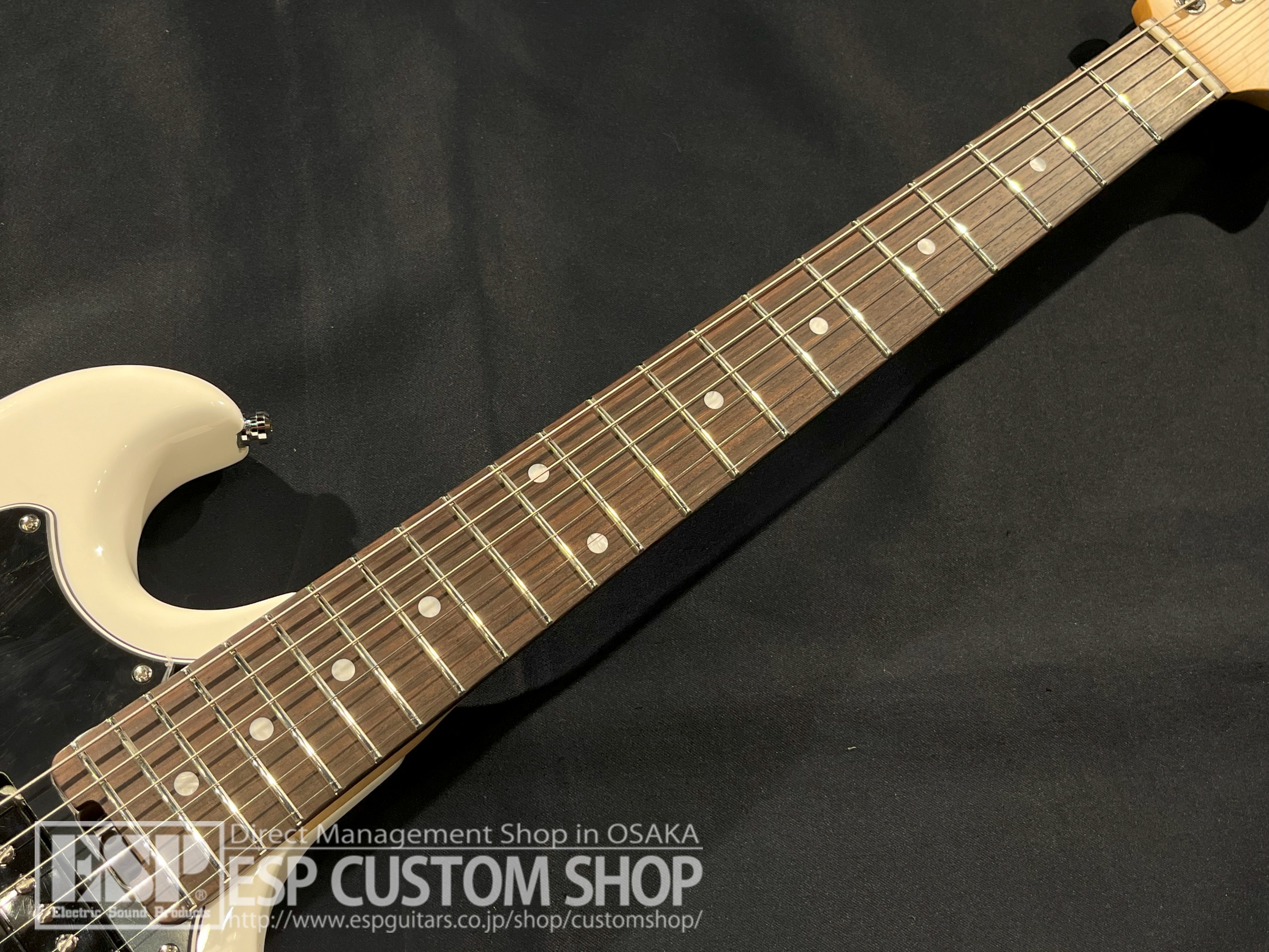 【即納可能】EDWARDS Platinum Edition ULTRATONE-SE / White 大阪店