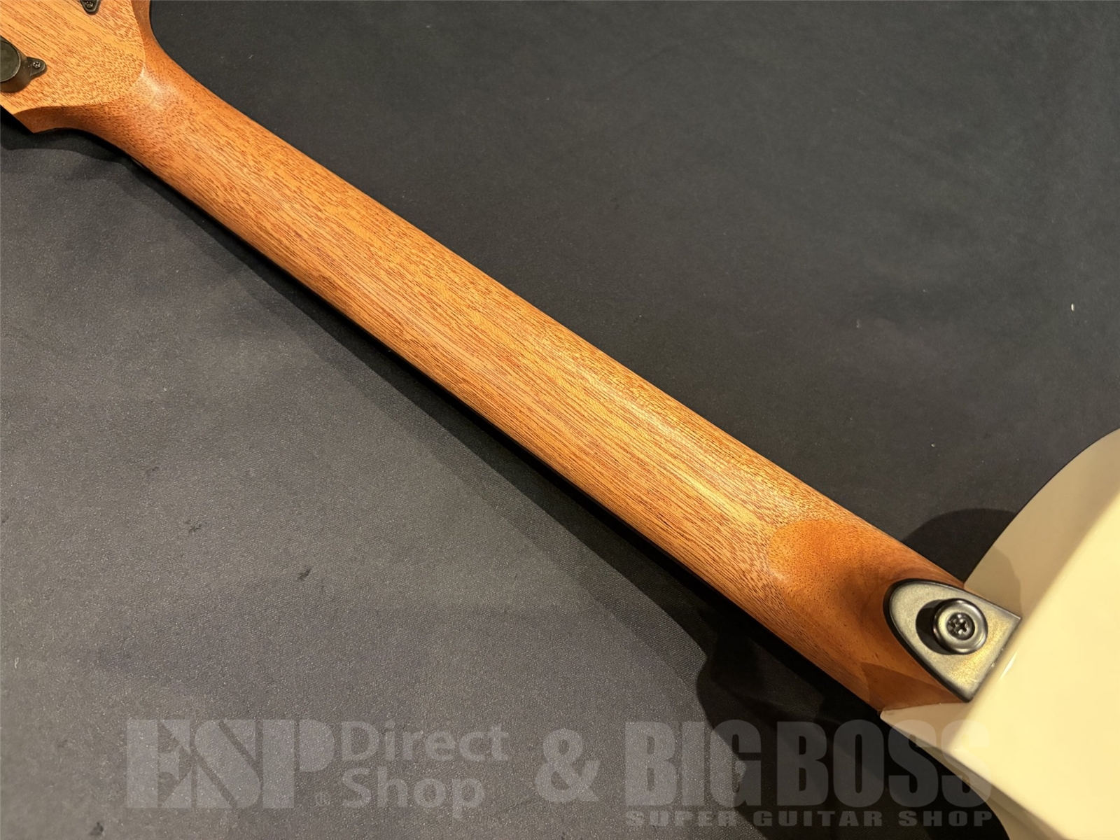 【即納可能】LAG Guitars (ラグギターズ) T118ASCE / Ivory 京都店 - 10