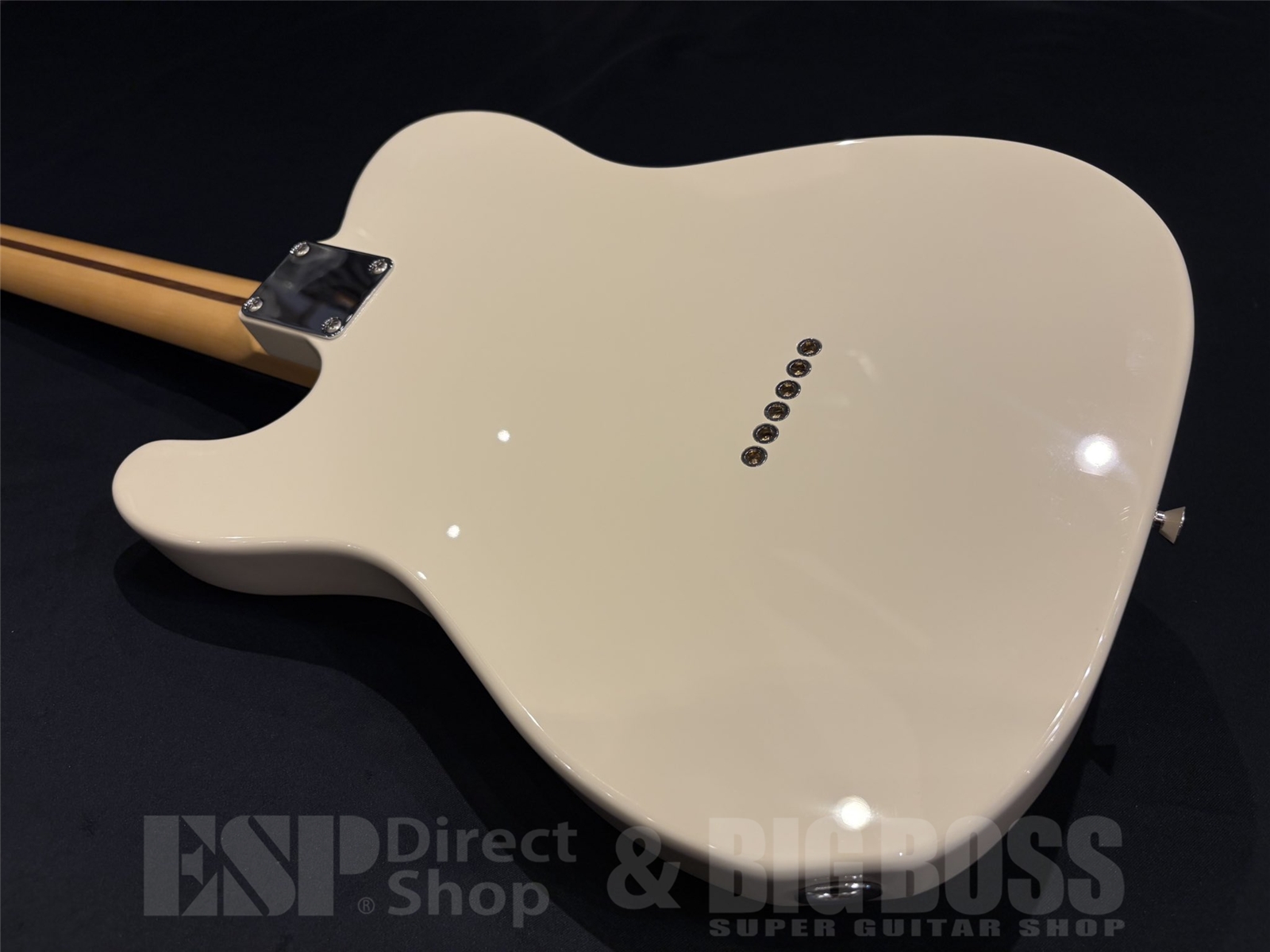 【即納可能】 Tokai (トーカイ) ATE-101 / Vintage White 京都店 - 9