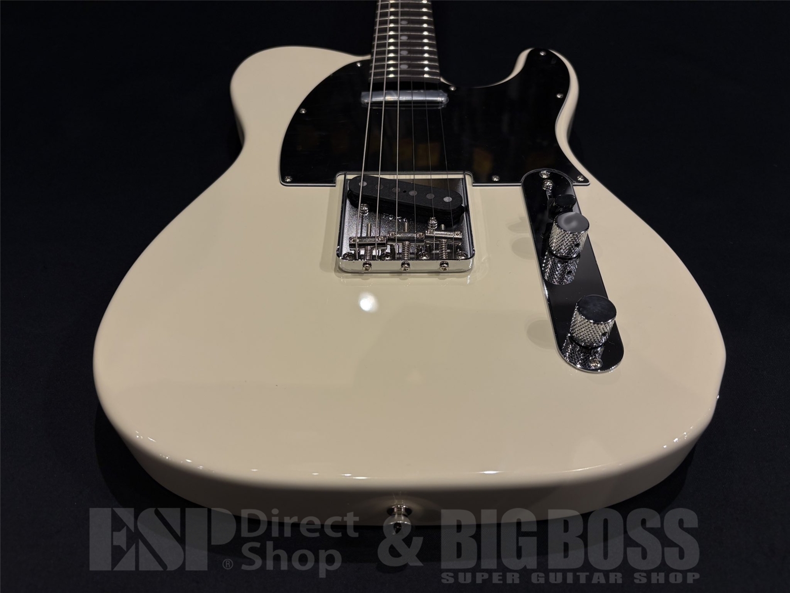 【即納可能】 Tokai (トーカイ) ATE-101 / Vintage White 京都店 - 5
