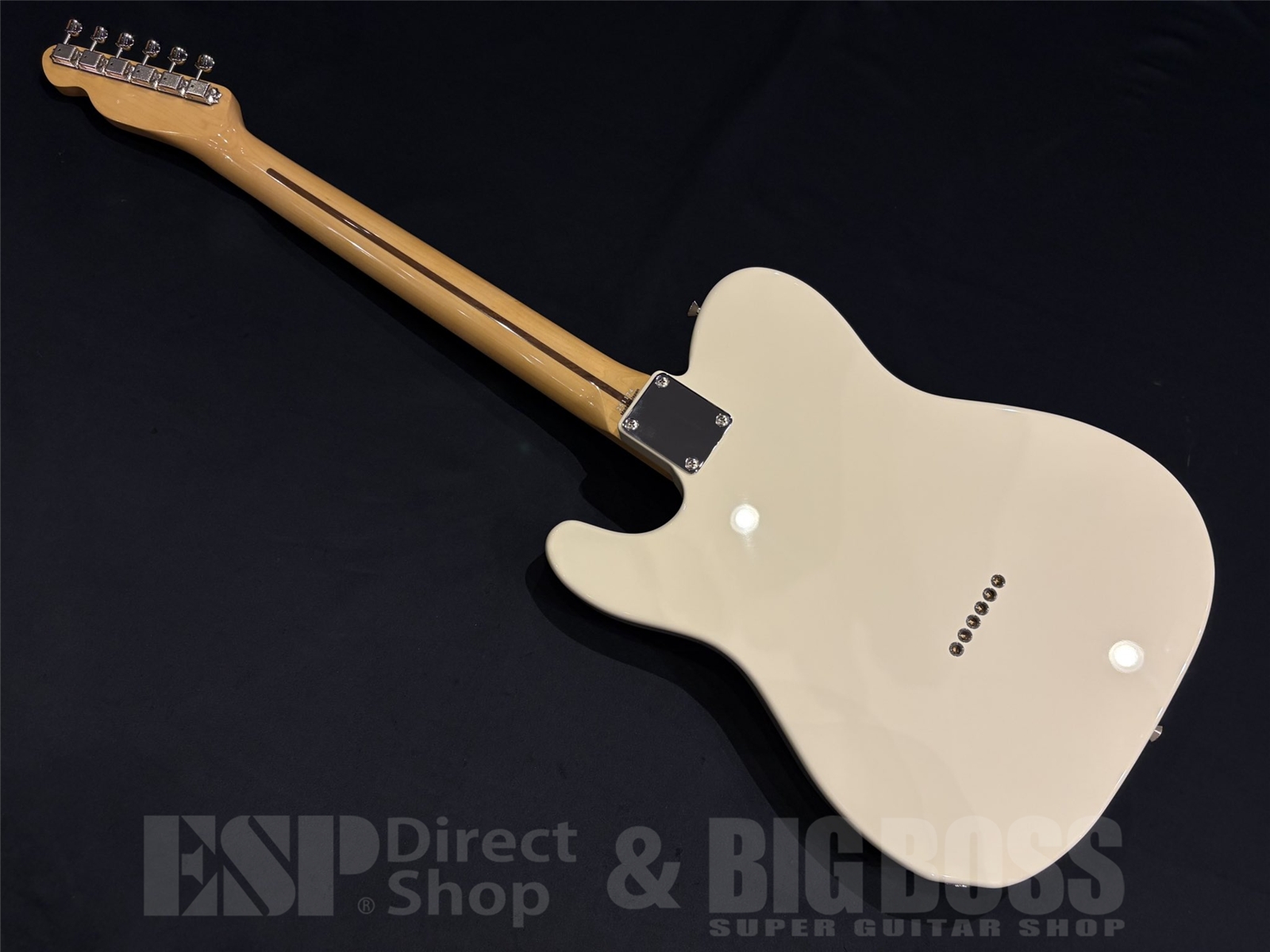 【即納可能】 Tokai (トーカイ) ATE-101 / Vintage White 京都店 - 8