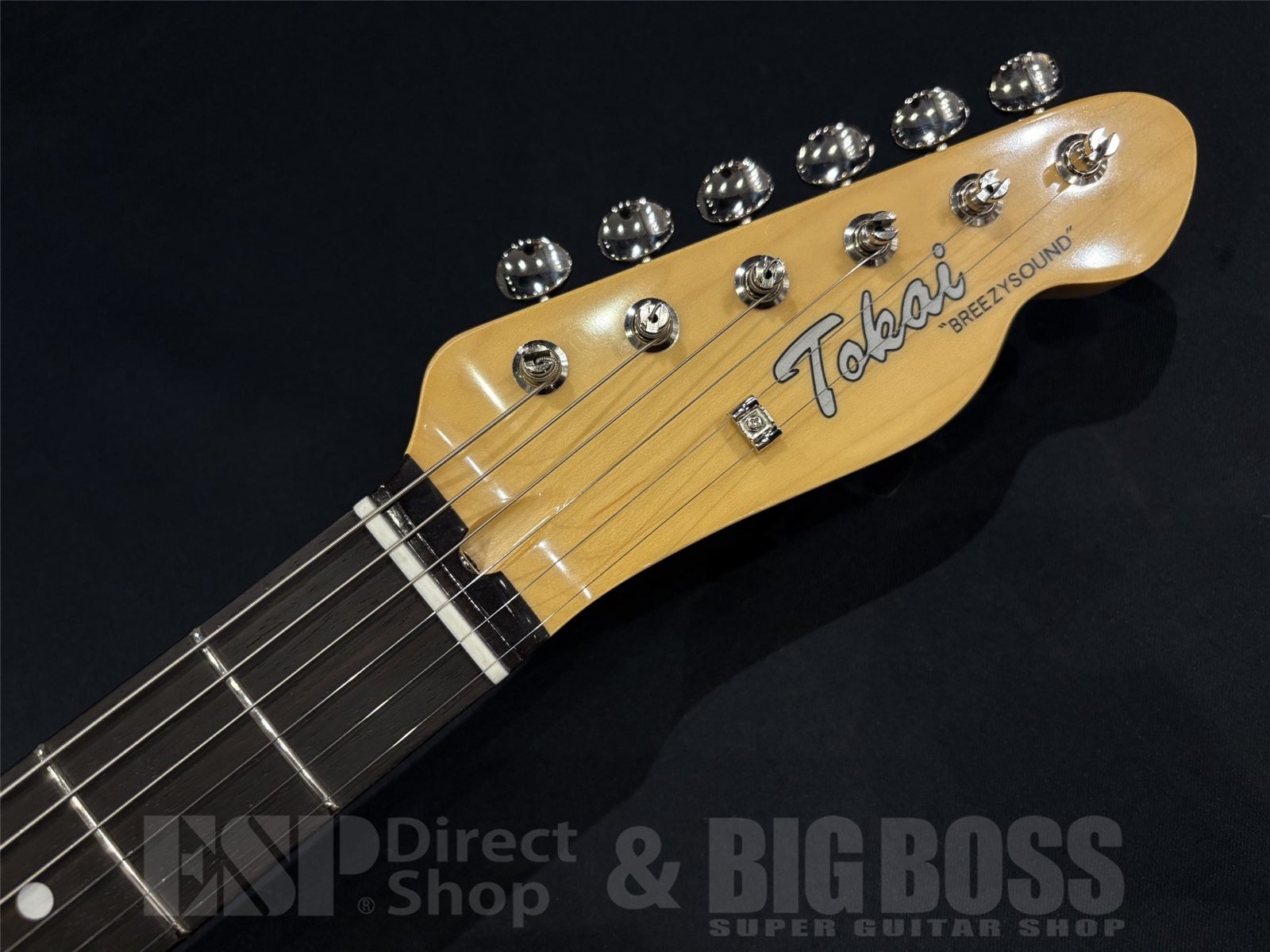 【即納可能】 Tokai (トーカイ) ATE-101 / Vintage White 京都店 - 7