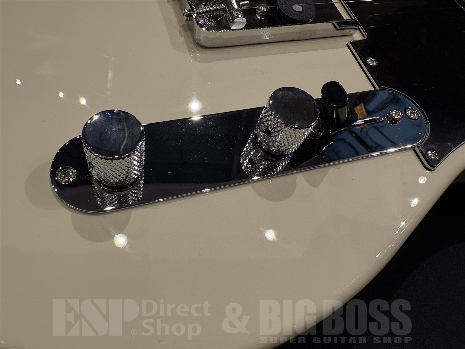 【即納可能】 Tokai (トーカイ) ATE-101 / Vintage White 京都店 - 3