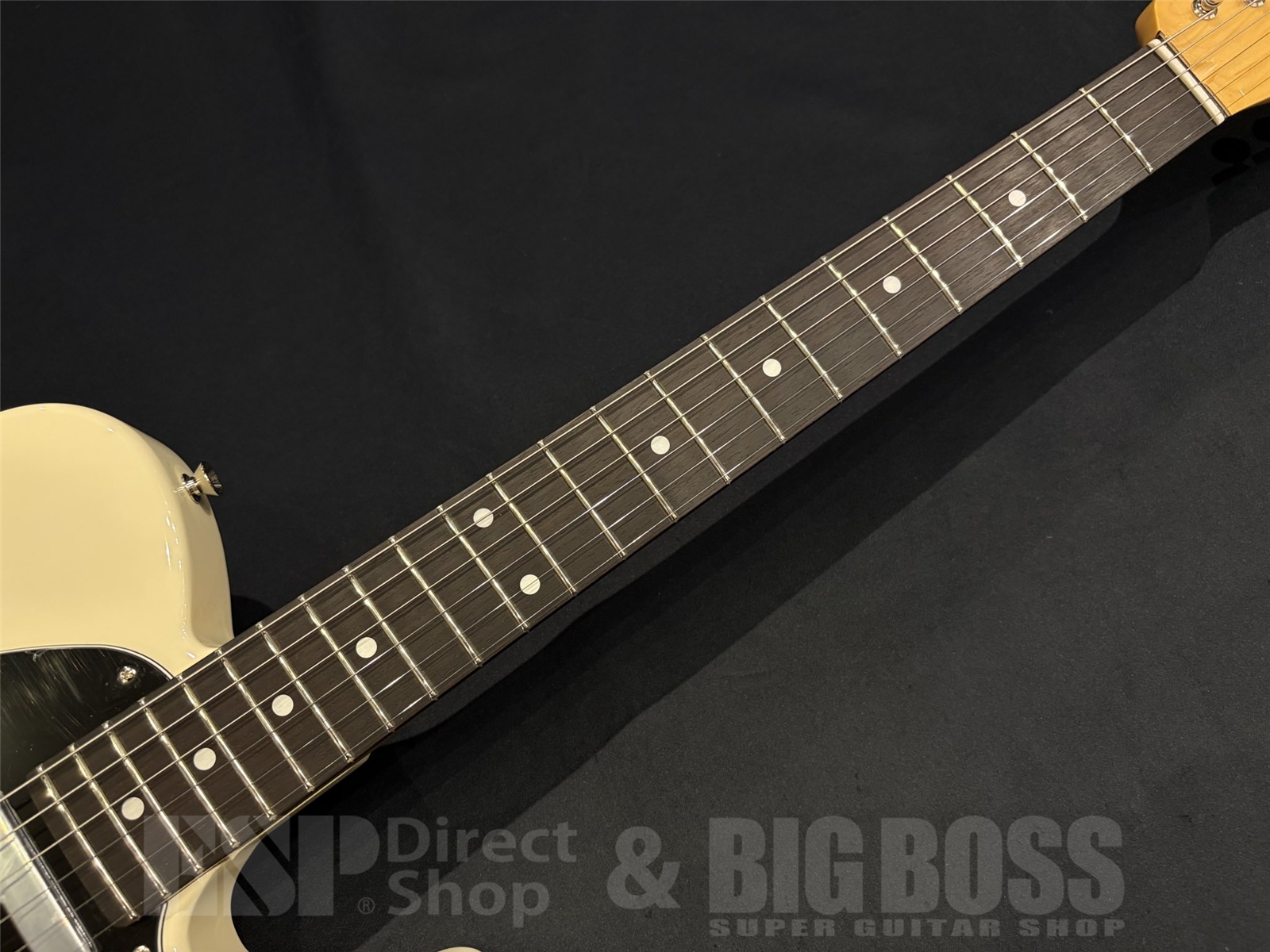 【即納可能】 Tokai (トーカイ) ATE-101 / Vintage White 京都店 - 6