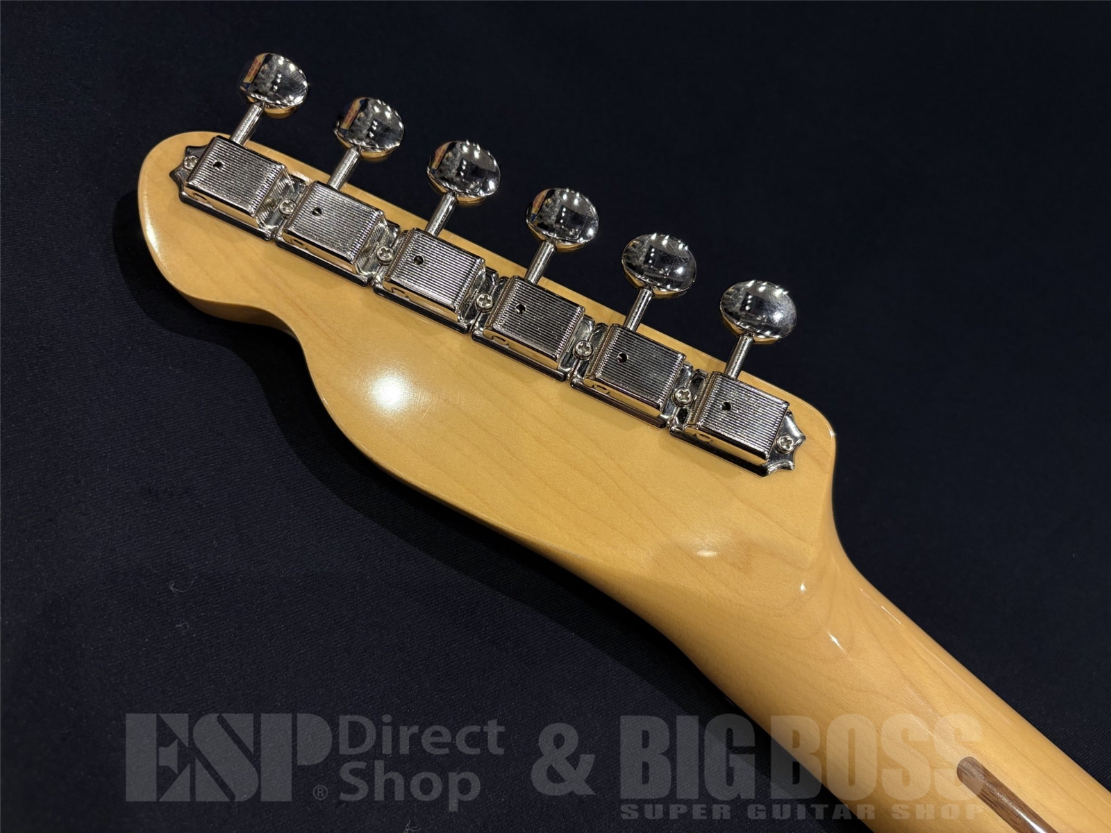 【即納可能】 Tokai (トーカイ) ATE-101 / Vintage White 京都店 - 11