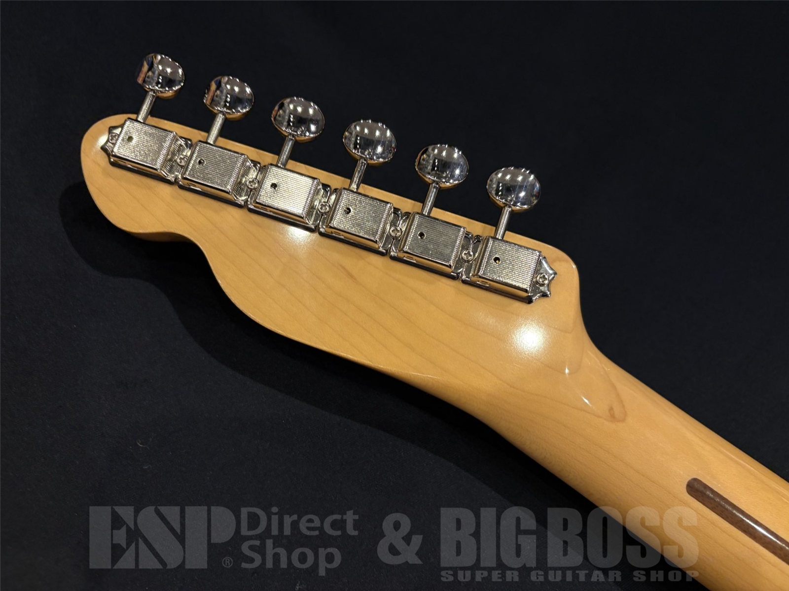 【即納可能】 Tokai (トーカイ) ATE-101 / Golden Sunburst 京都店 - 11
