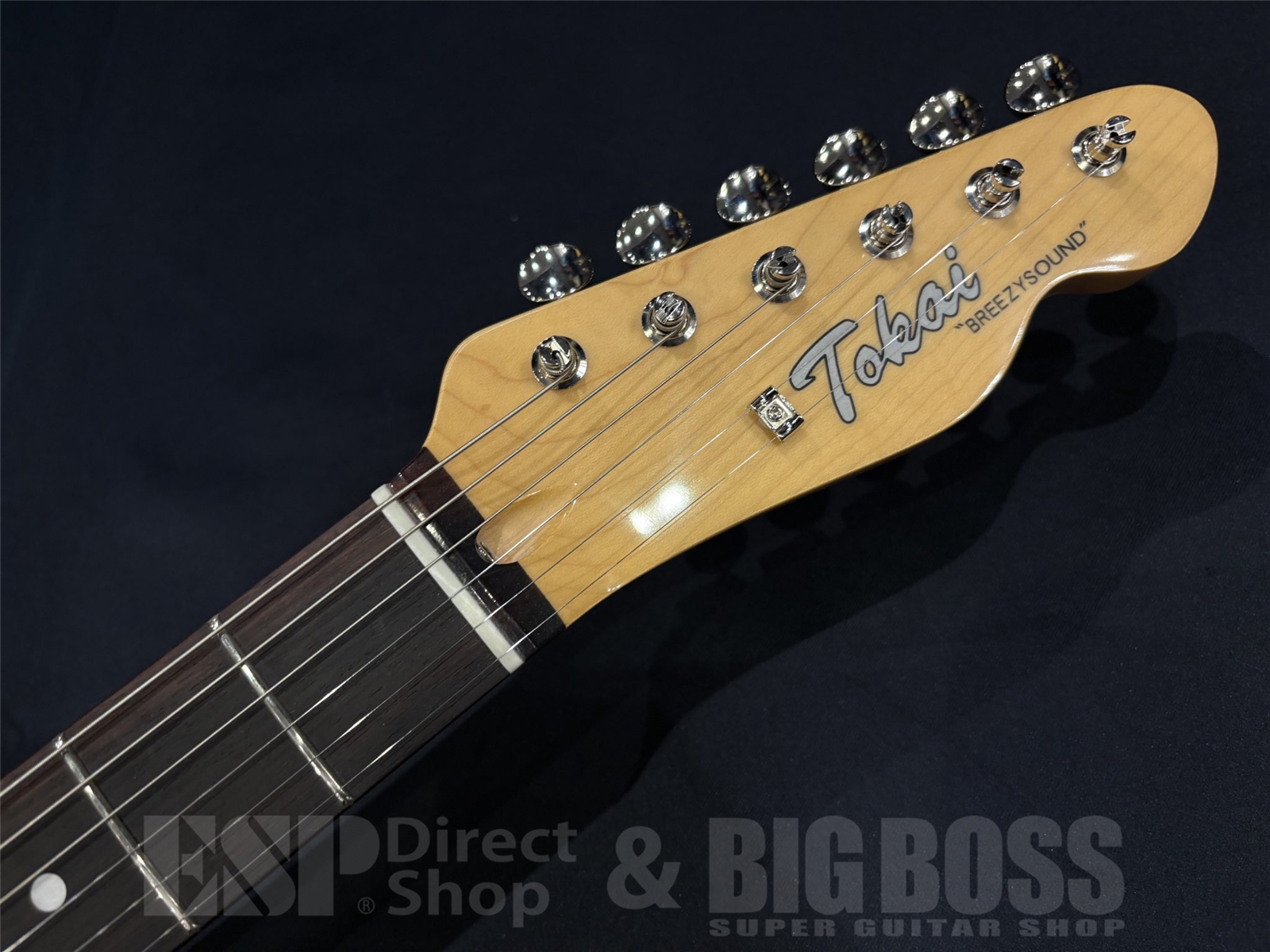 【即納可能】 Tokai (トーカイ) ATE-101 / Golden Sunburst 京都店 - 7