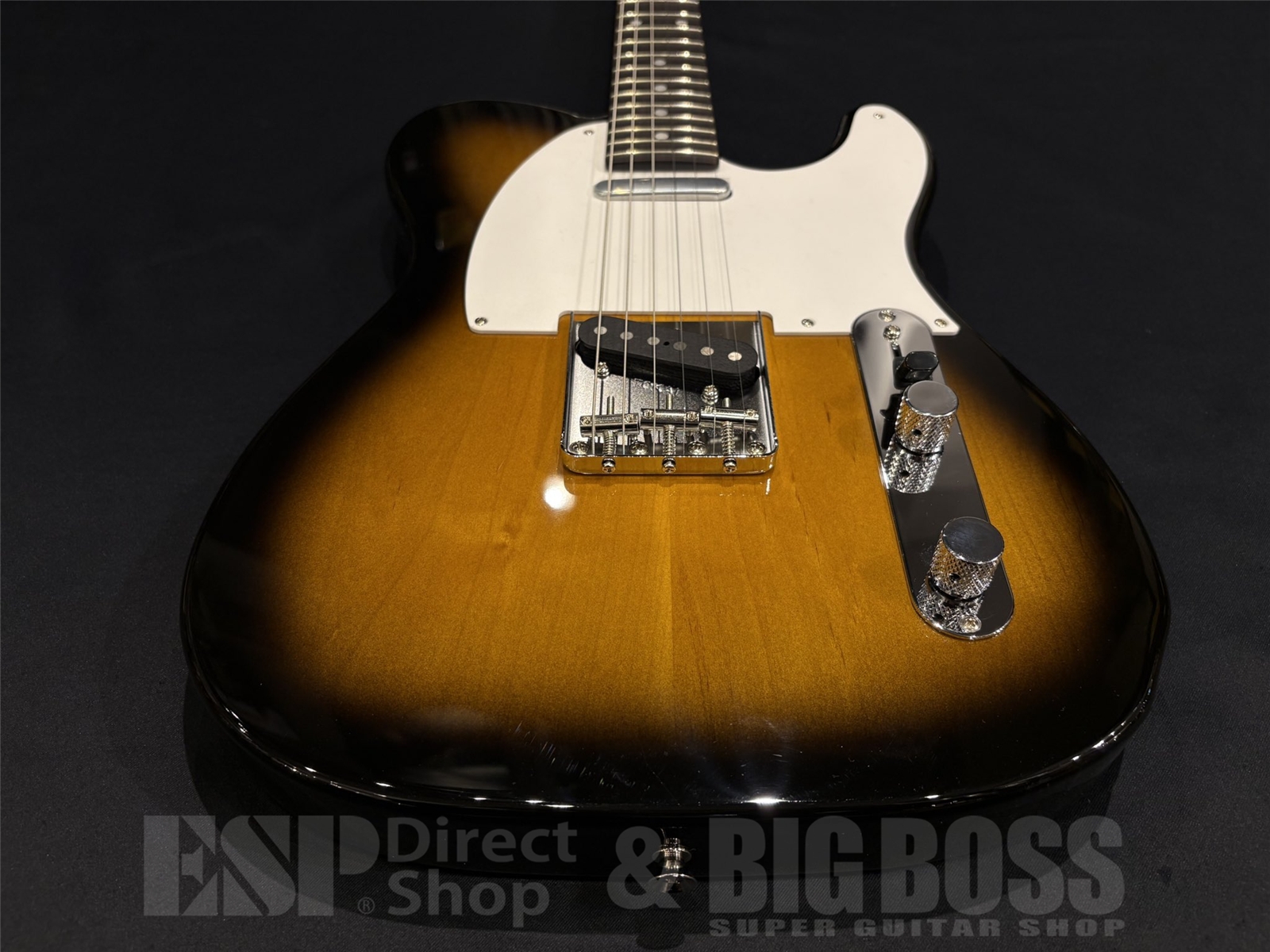 【即納可能】 Tokai (トーカイ) ATE-101 / Golden Sunburst 京都店 - 5