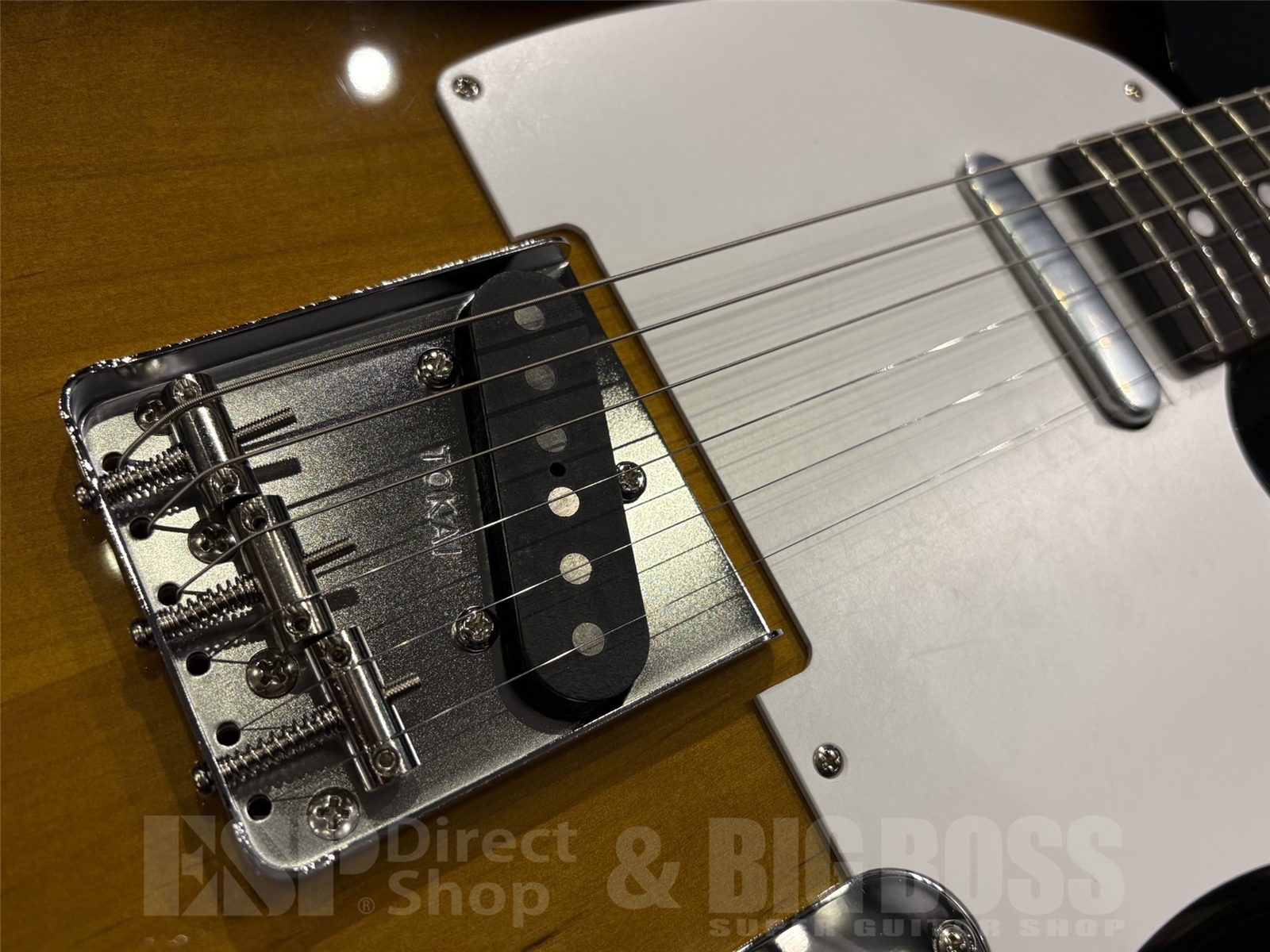 【即納可能】 Tokai (トーカイ) ATE-101 / Golden Sunburst 京都店 - 4