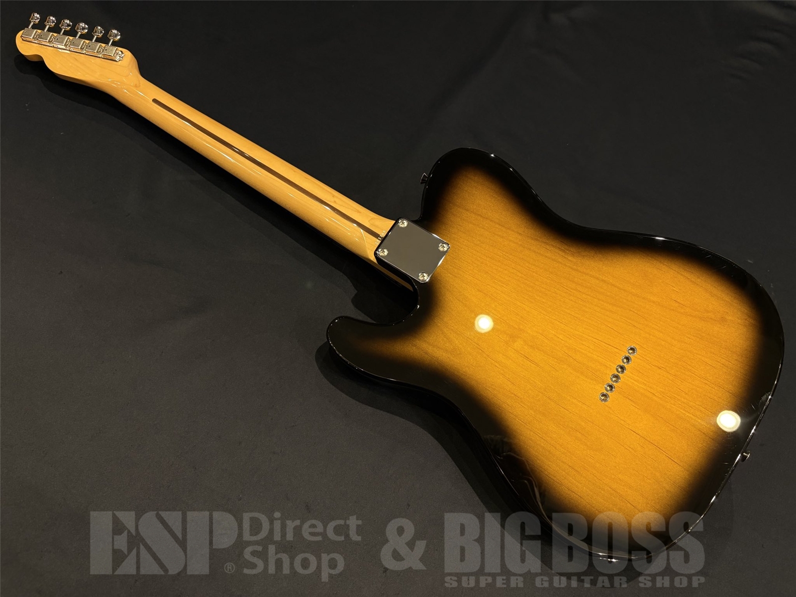 【即納可能】 Tokai (トーカイ) ATE-101 / Golden Sunburst 京都店 - 8