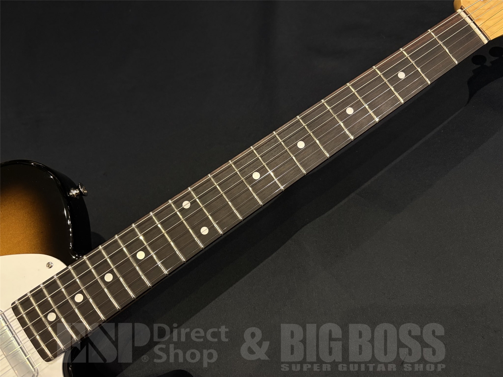 【即納可能】 Tokai (トーカイ) ATE-101 / Golden Sunburst 京都店 - 6