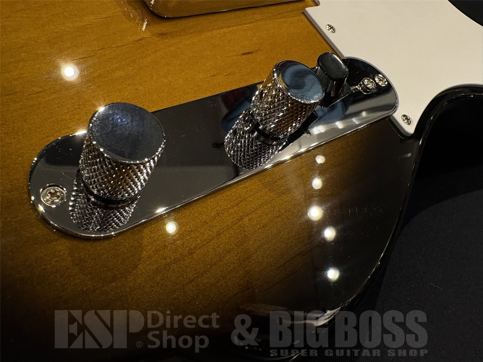 【即納可能】 Tokai (トーカイ) ATE-101 / Golden Sunburst 京都店 - 3