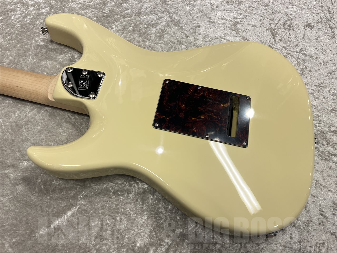 【即納可能】EDWARDS（エドワーズ）E-SNAPPER-AL/R（Off White）　名古屋店 - 8