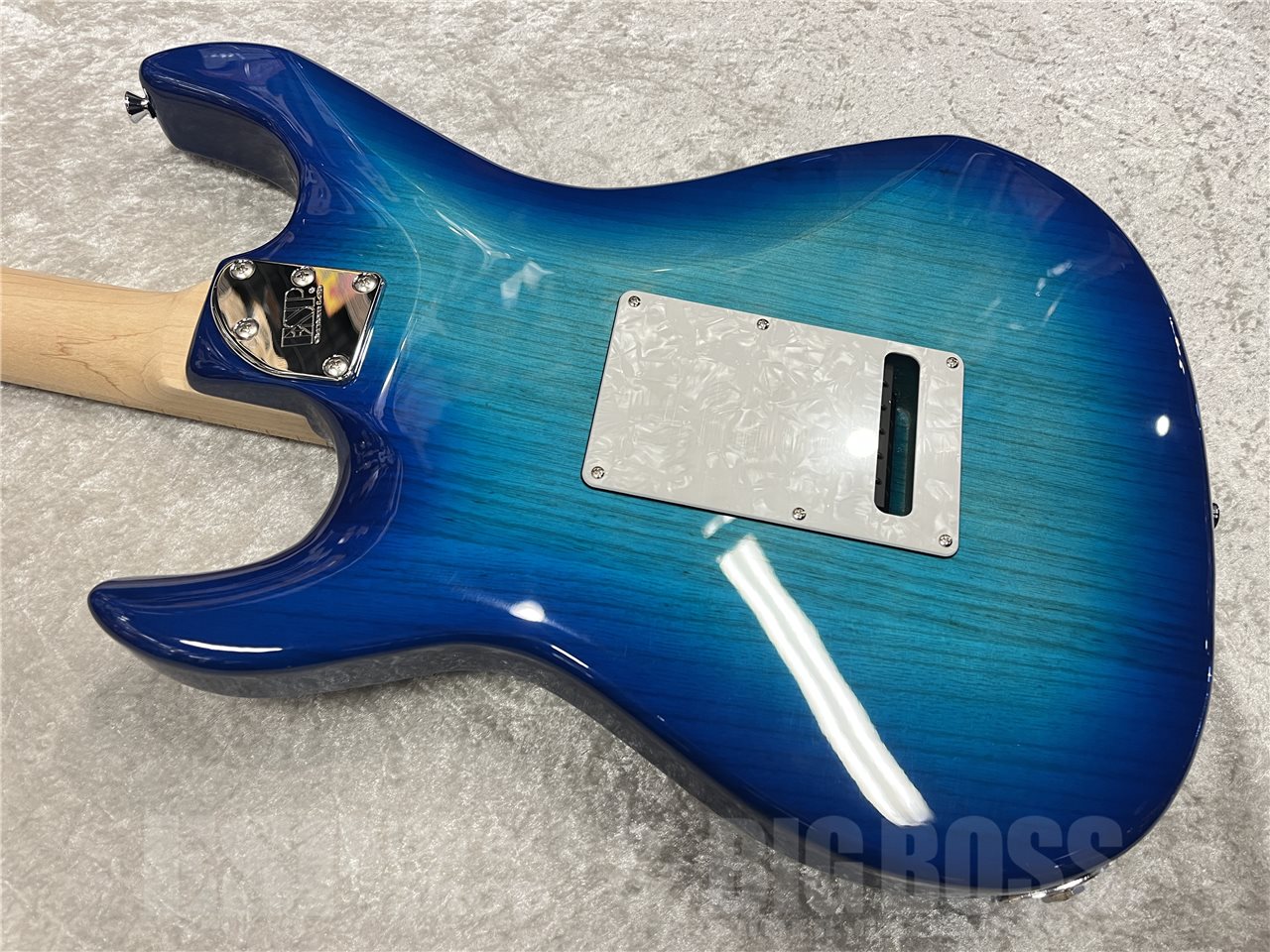 【即納可能】EDWARDS（エドワーズ）E-SNAPPER-AS/M（See Thru Blue Sunburst）　名古屋店 - 9