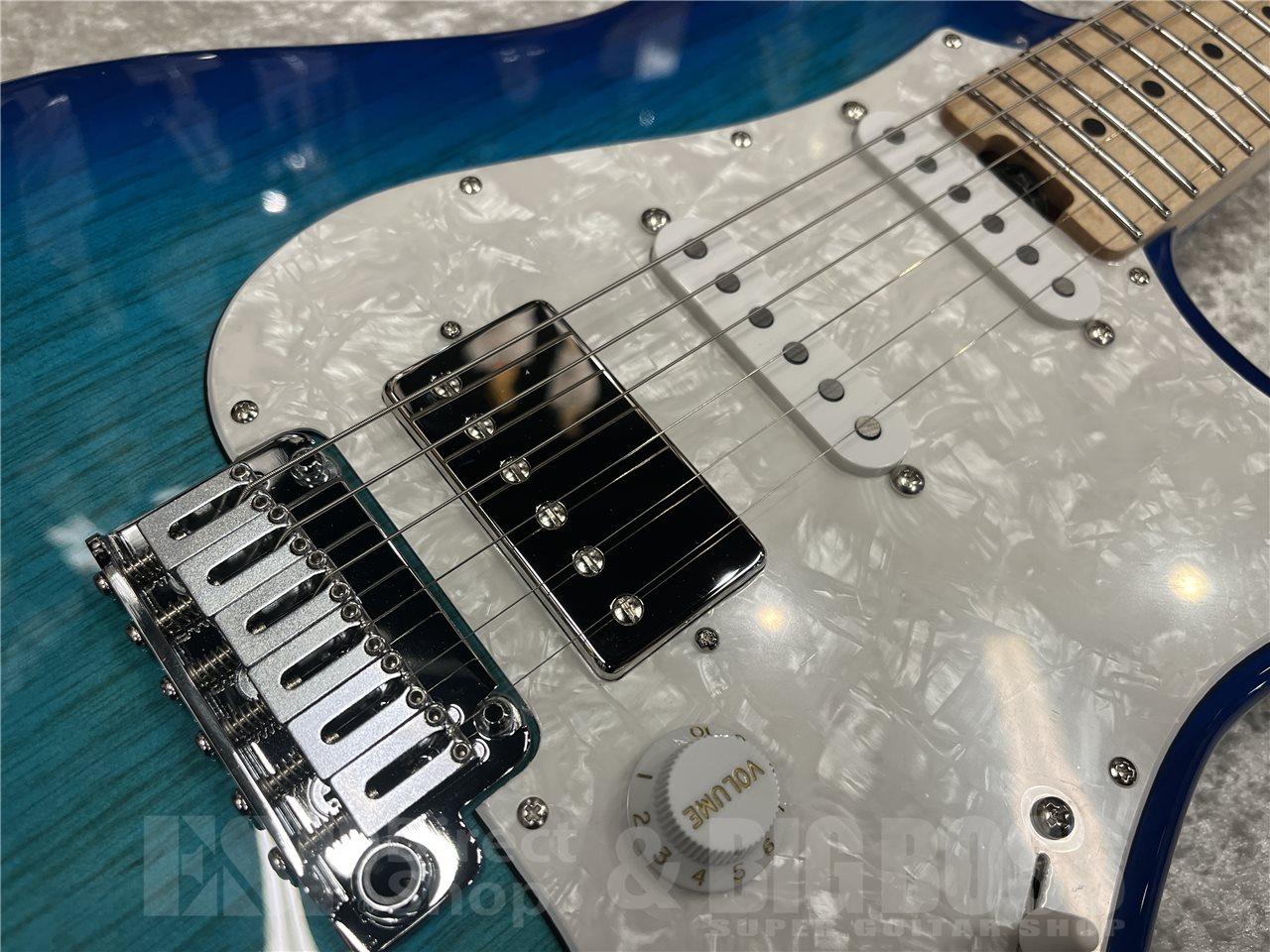 【即納可能】EDWARDS（エドワーズ）E-SNAPPER-AS/M（See Thru Blue Sunburst）　名古屋店 - 3