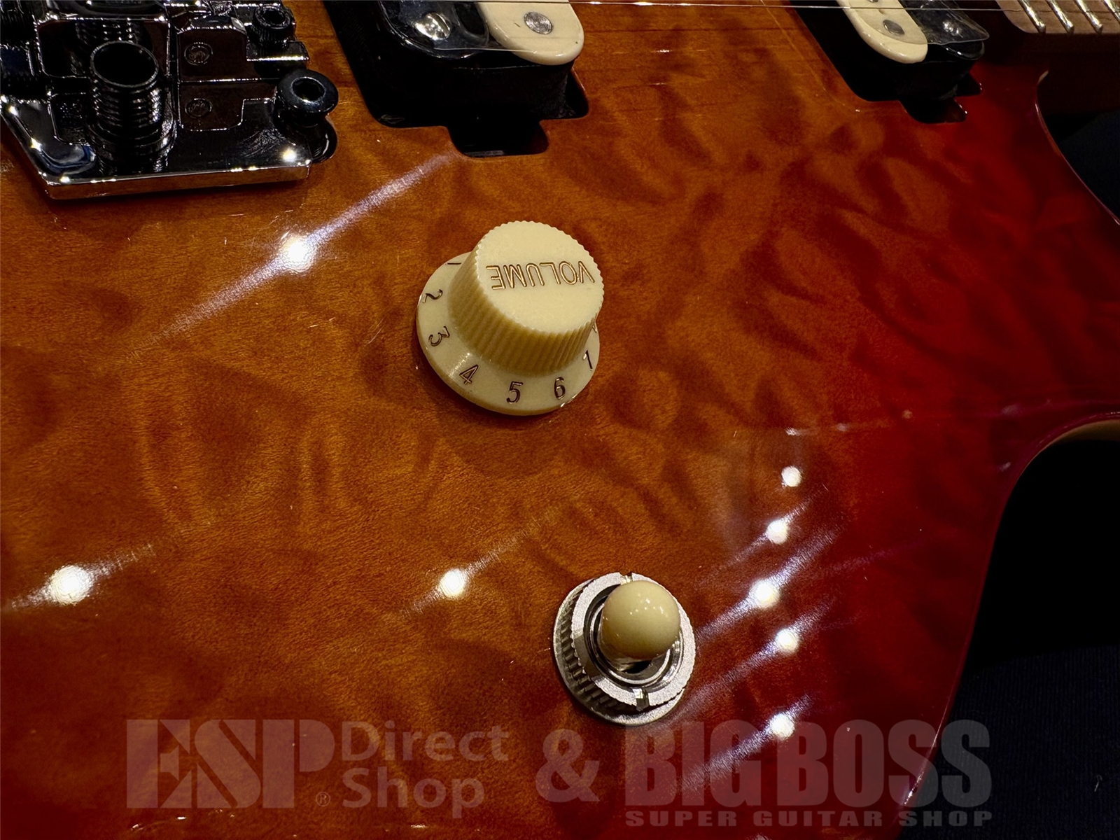 【即納可能】 Sterling by MUSIC MAN (スターリンバイミュージックマン) AX50QM / Lava Burst　京都店 - 3