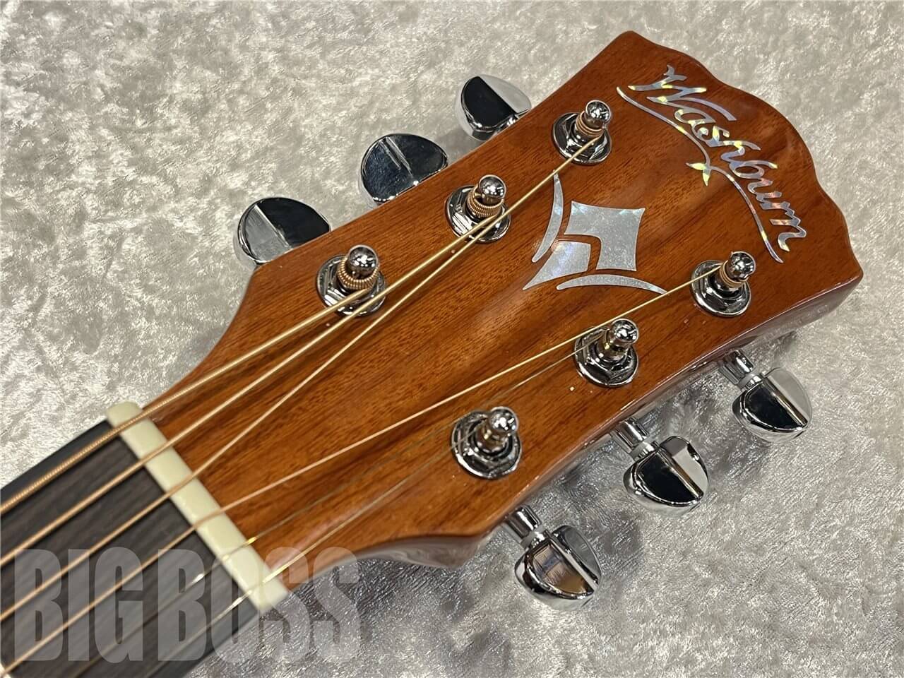 【即納可能】Washburn（ワッシュバーン） F5　名古屋店