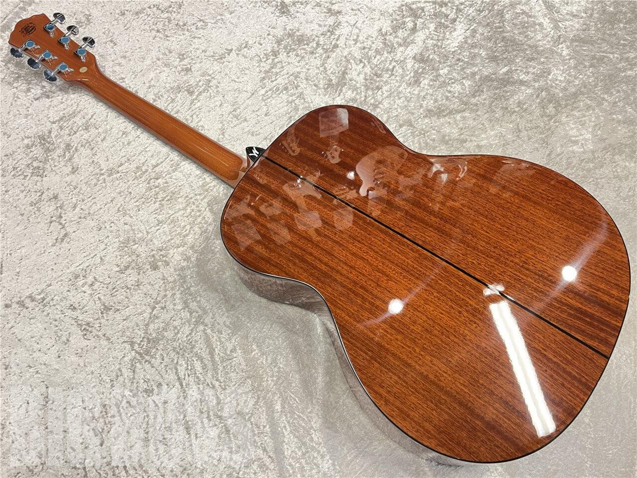 【即納可能】Washburn（ワッシュバーン） F5　名古屋店