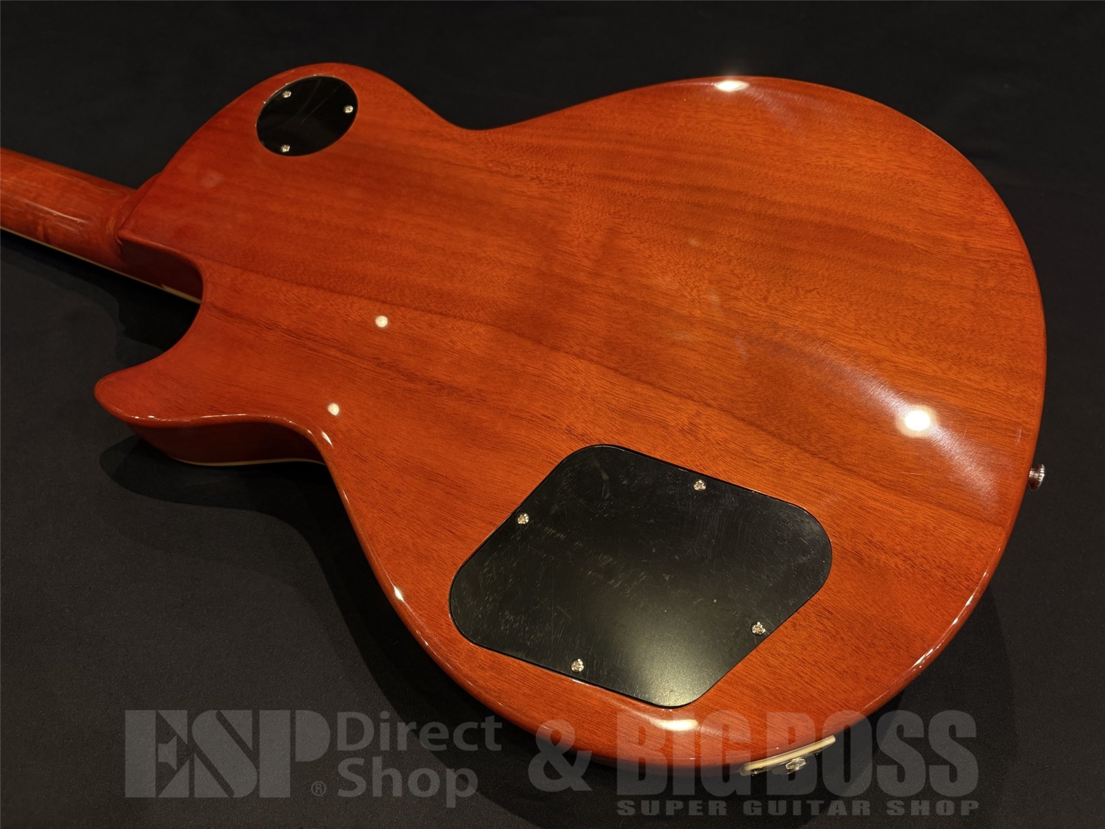 【即納可能】EDWARDS (エドワーズ) E-LP-STD / Vintage Honey Sunburst 京都店 - 9
