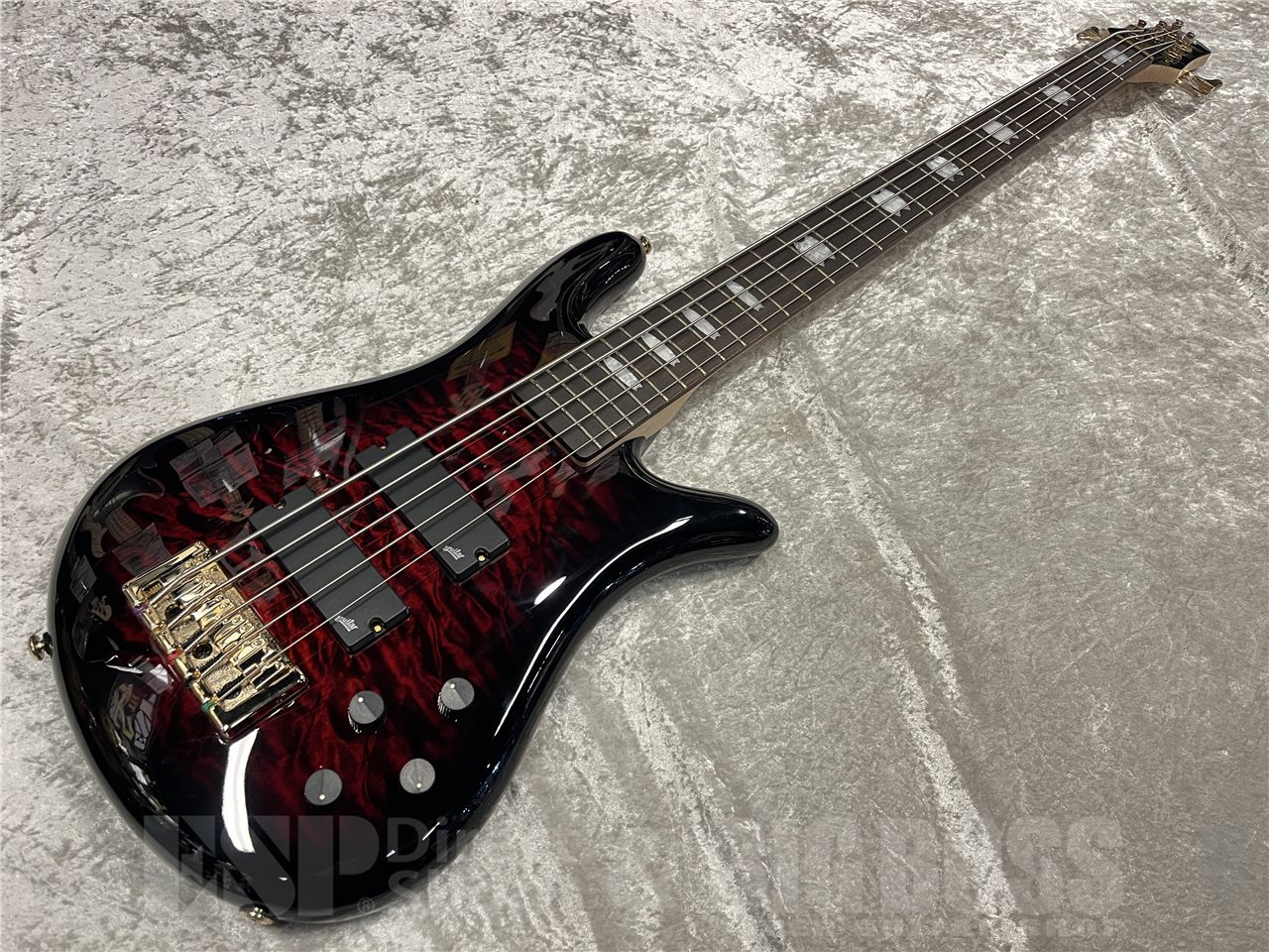 【即納可能】Spector（スペクター）Icon NS 5 Bolt-On 5（Black Cherry Gloss）　名古屋店