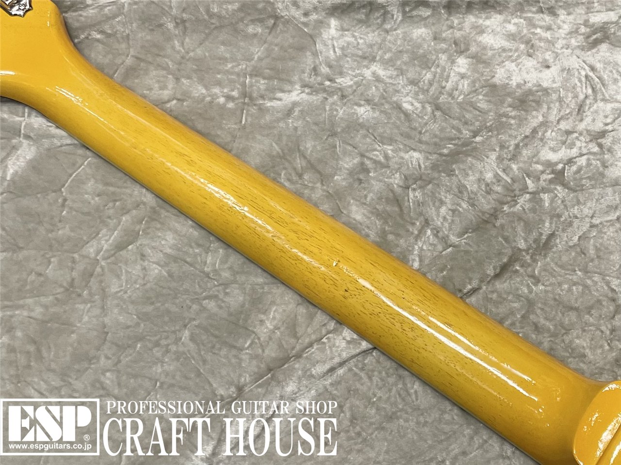 【即納可能】EDWARDS E-LS-LTD / TV Yellow　渋谷店 - 7