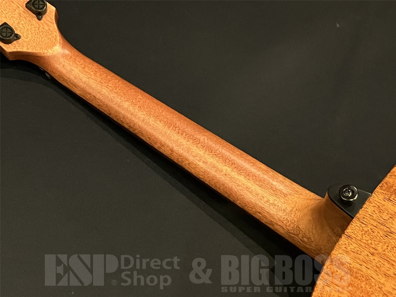 【即納可能】LAG Guitars (ラグギターズ) T88A (Natural) 京都店 - 10
