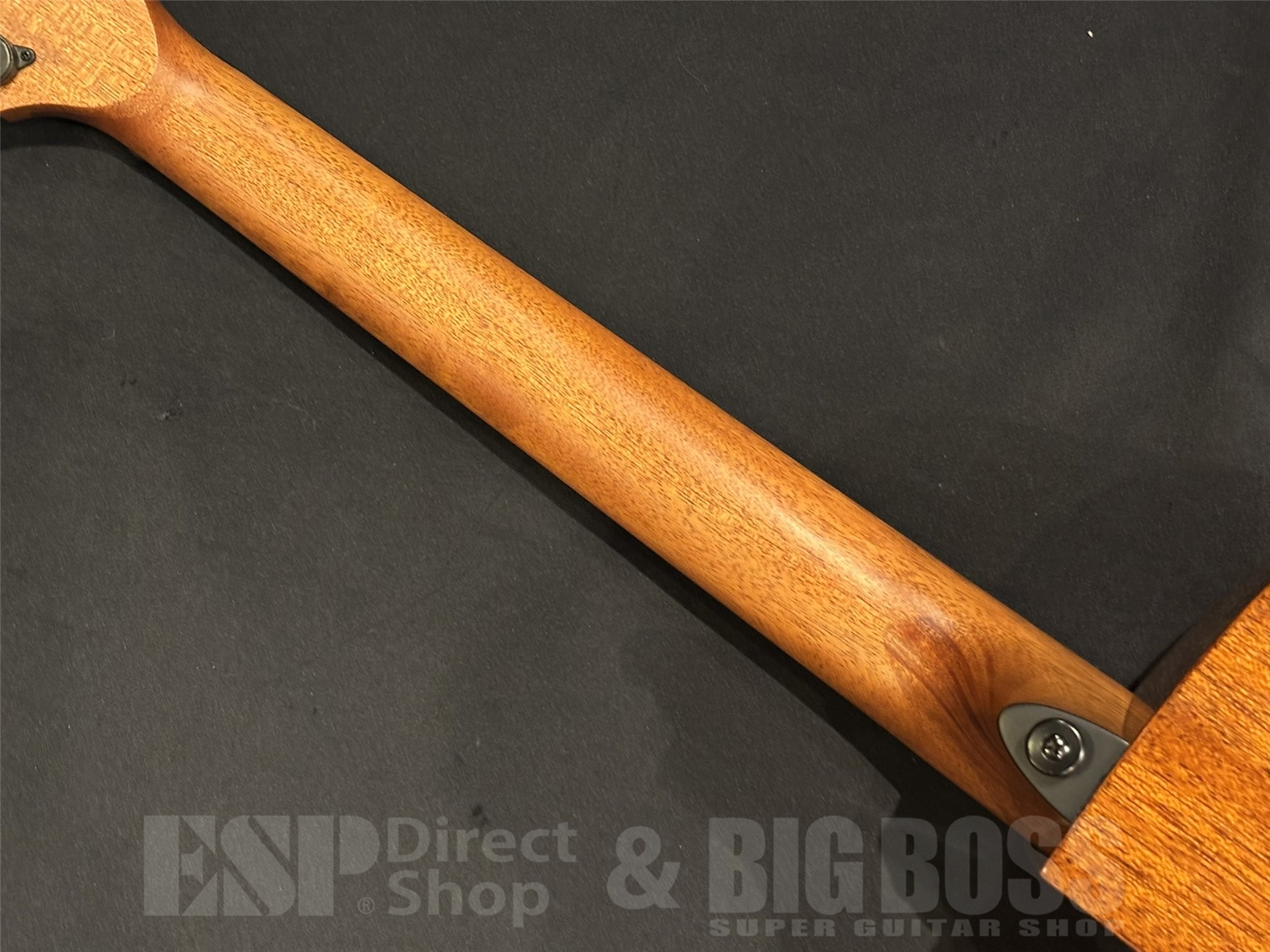 【即納可能】LAG Guitars (ラグギターズ) T88ACE / Natural 京都店 - 10