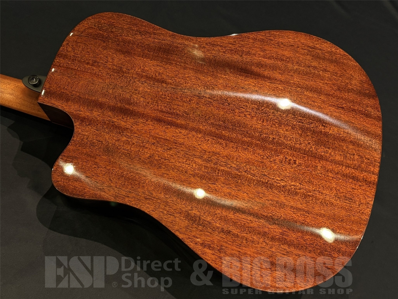 【即納可能】LAG Guitars(ラグギターズ) T118DCE-BRS 京都店 - 9