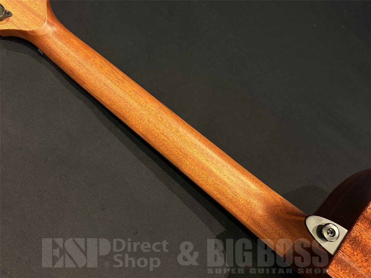 【即納可能】LAG Guitars(ラグギターズ) T118DCE-BRS 京都店 - 10