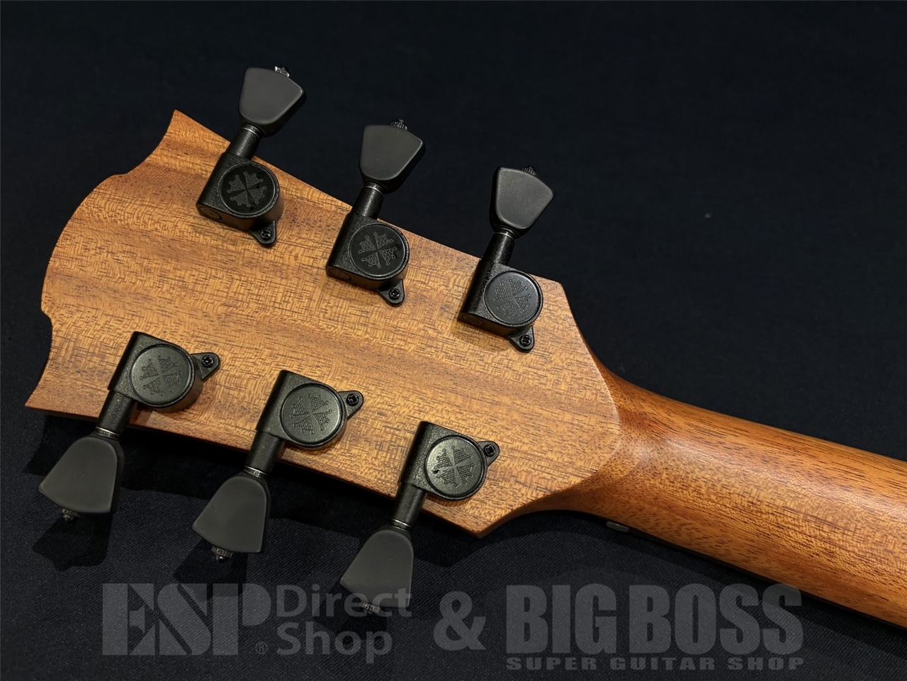 【即納可能】LAG Guitars(ラグギターズ) T118DCE-BRS 京都店 - 11