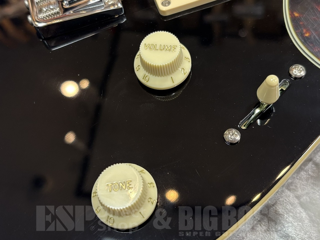 【即納可能】EDWARDS（エドワーズ） E-THROBBER-CTM / Black GWS - 5