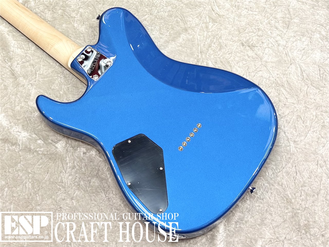 【即納可能】EDWARDS E-THROBBER / Splash Blue Metallic 渋谷店 - 6