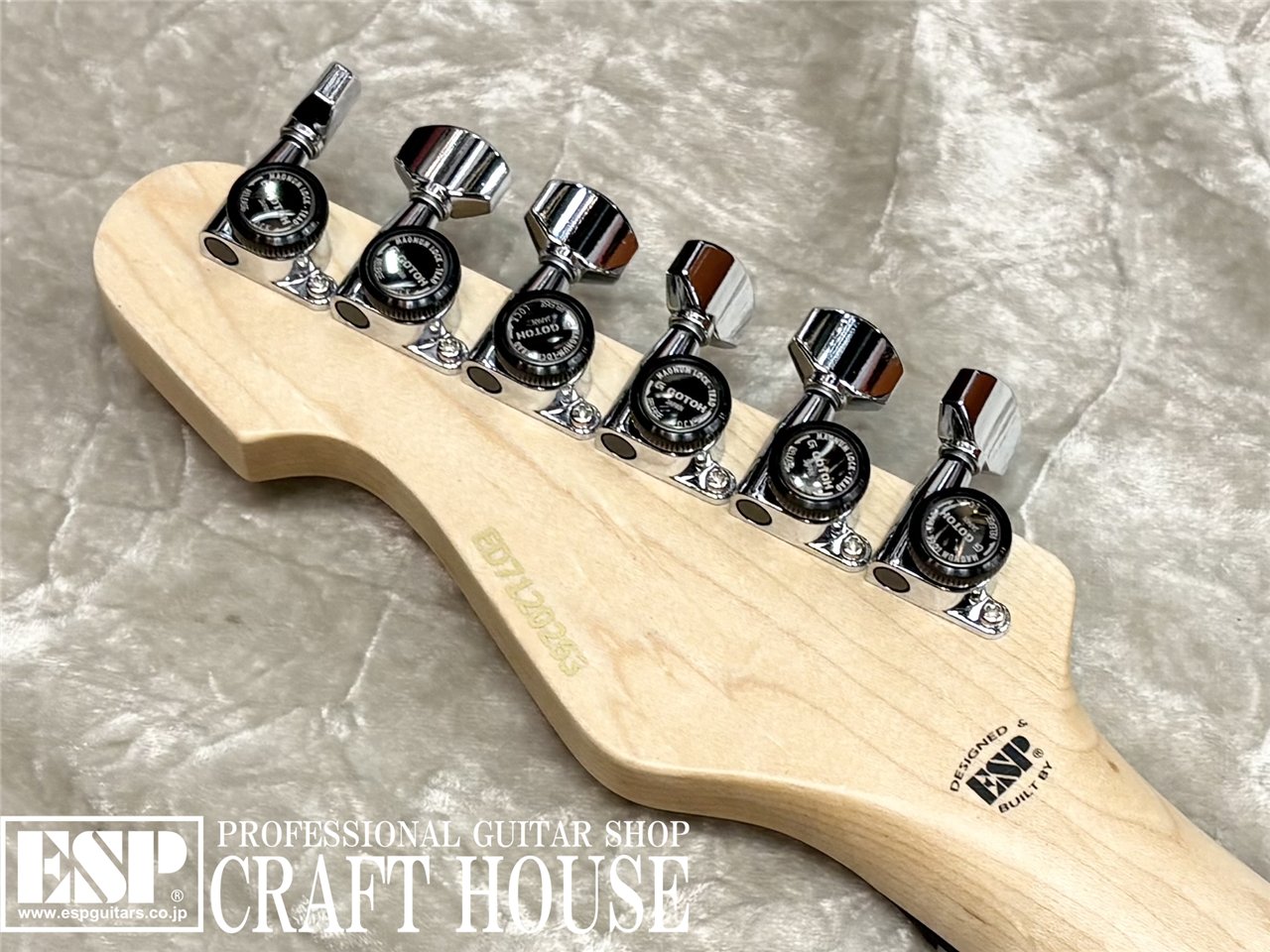 【即納可能】EDWARDS E-THROBBER / Splash Blue Metallic 渋谷店 - 8