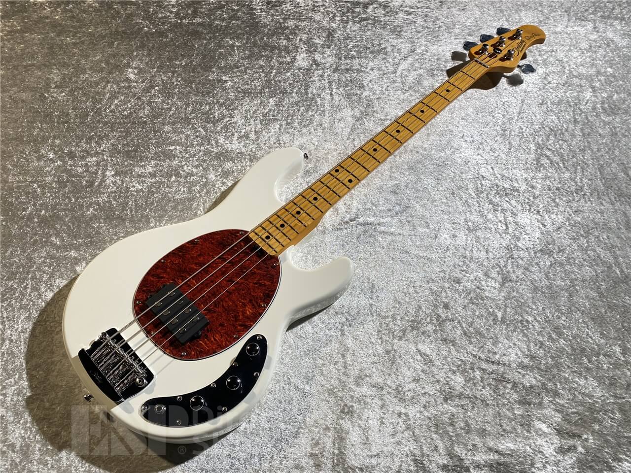 【即納可能】Sterling by MUSIC MAN(スターリンバイミュージックマン) STINGRAY CLASSIC RAY24CA(Olympic White) 札幌店